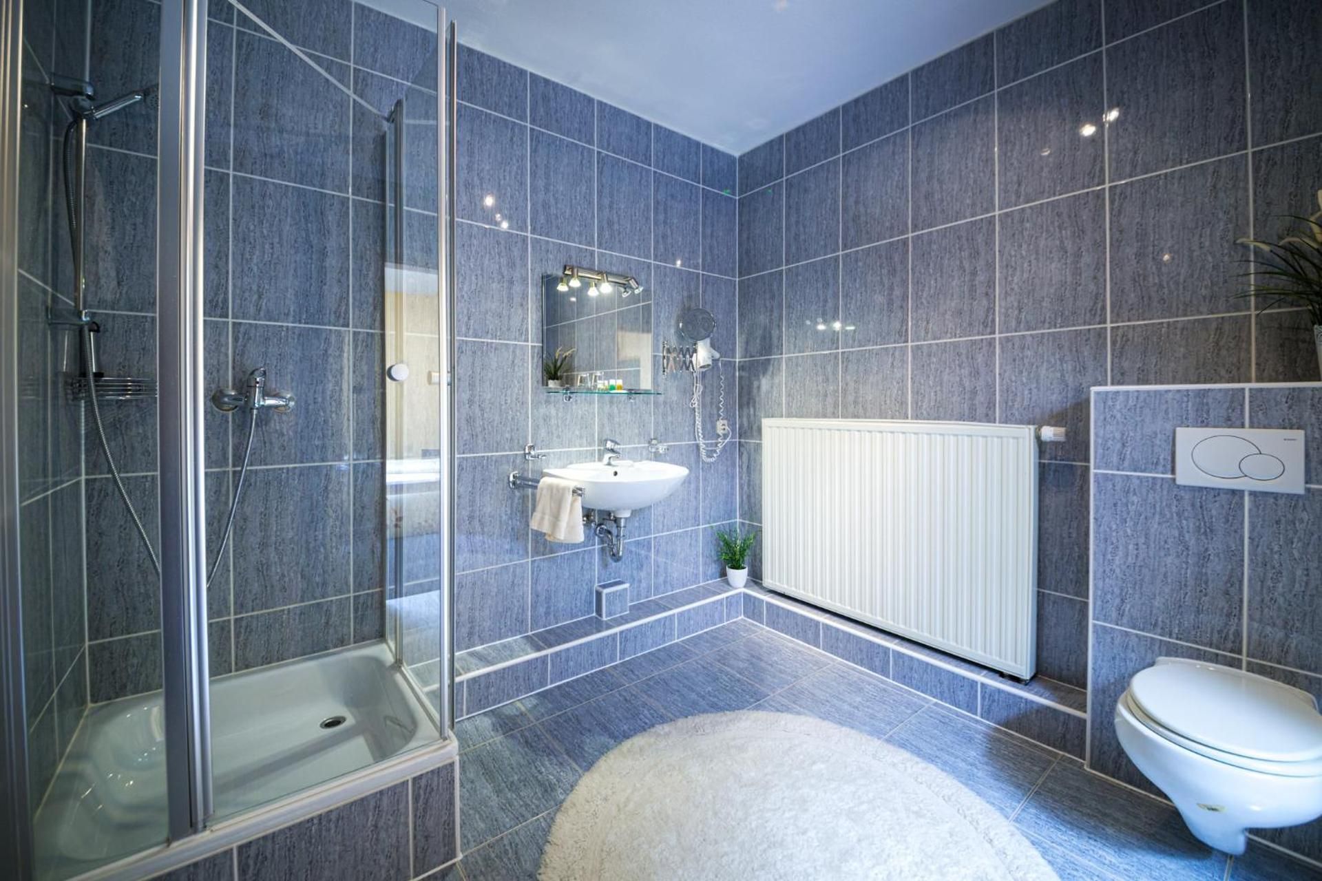 Superior Single Room