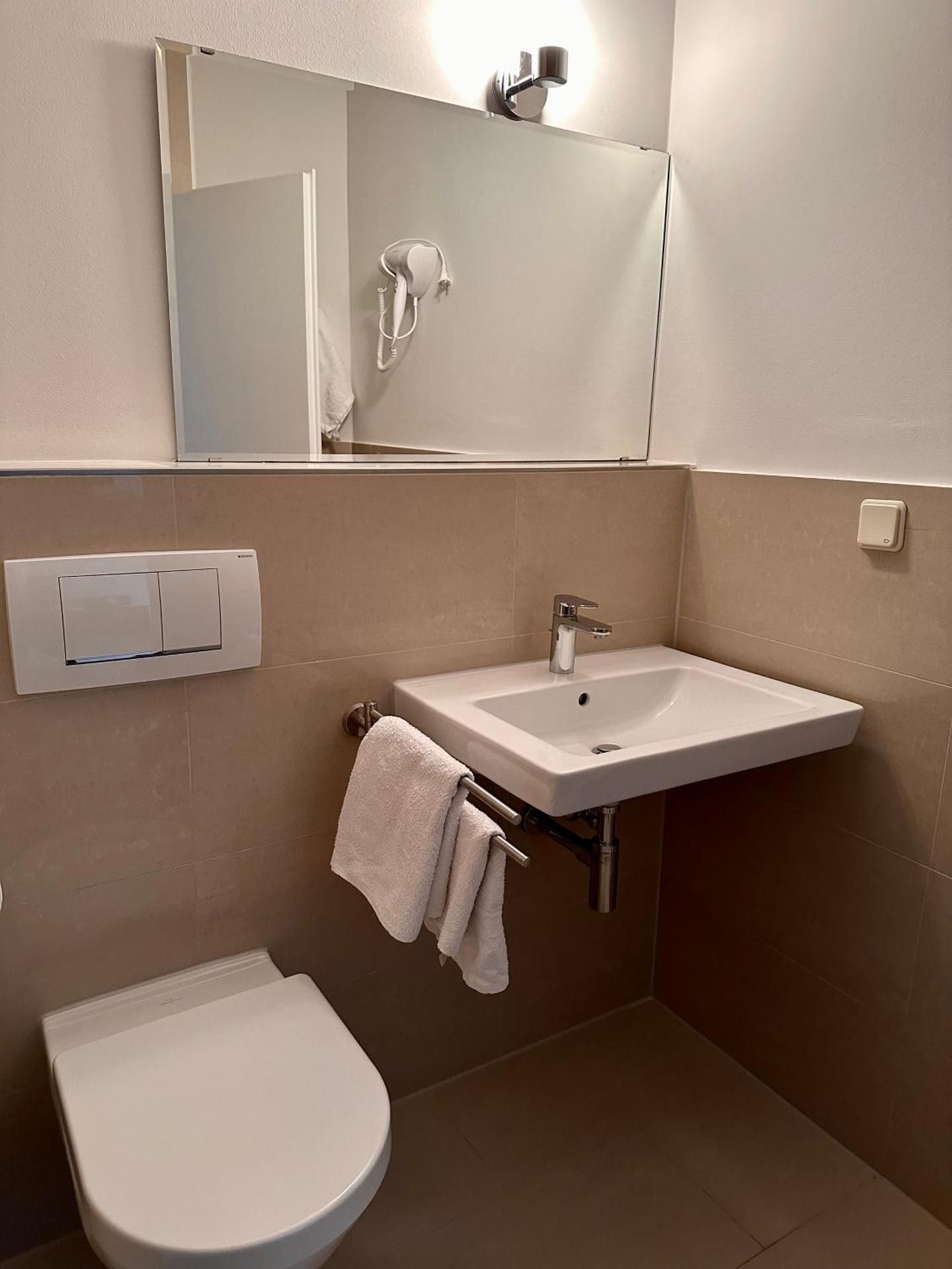 Twin Room with Rhine River View