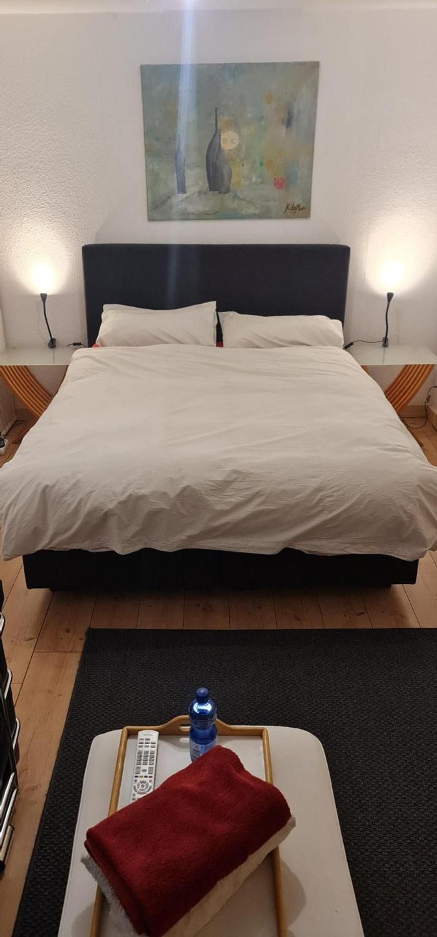 Schonste Lage am Rhein in unmittelbarer Stadtnahe, B & B Double Room - Basement 2