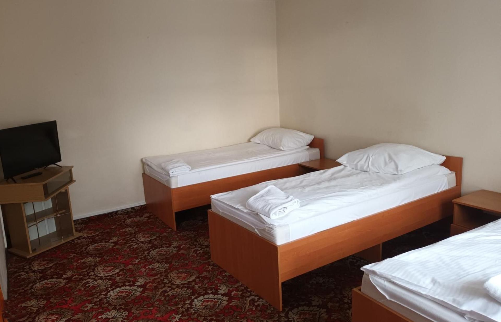 Basic Triple Room