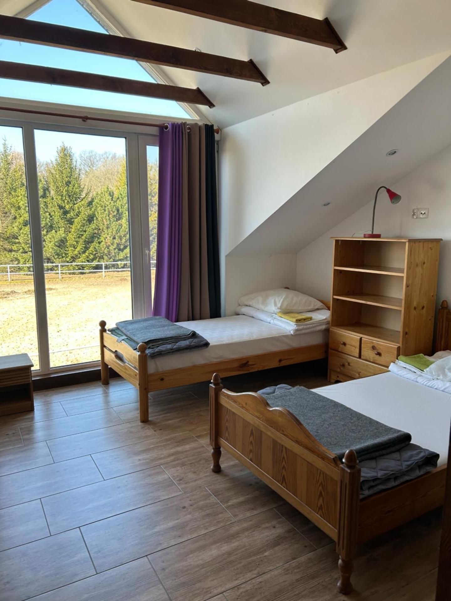 Basic Triple Room