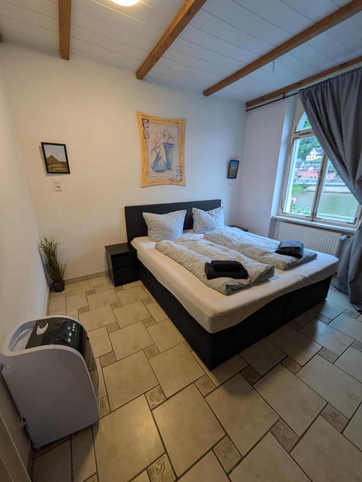 One-Bedroom Apartment with River View
