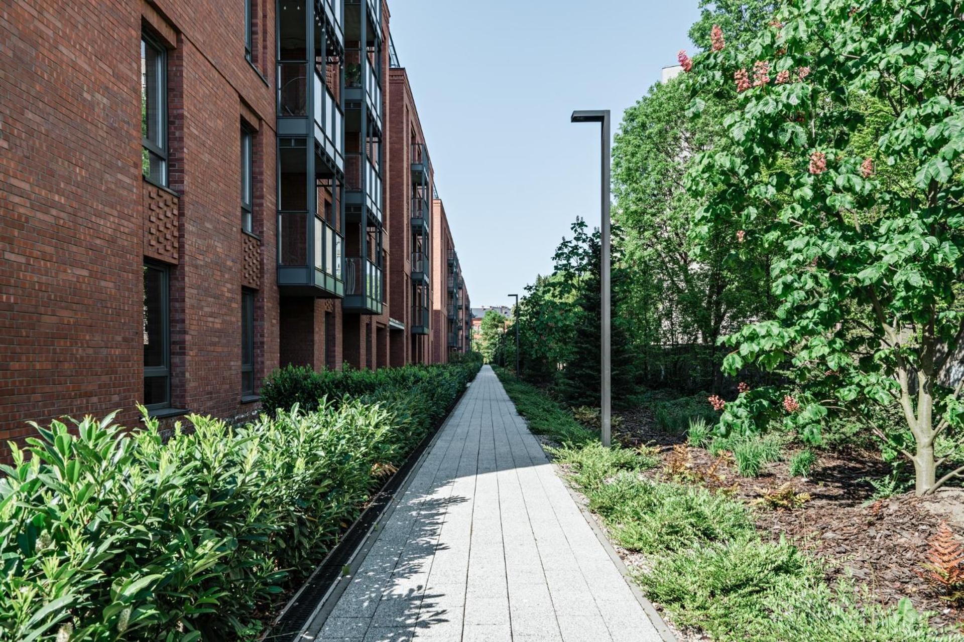 surrounding environment