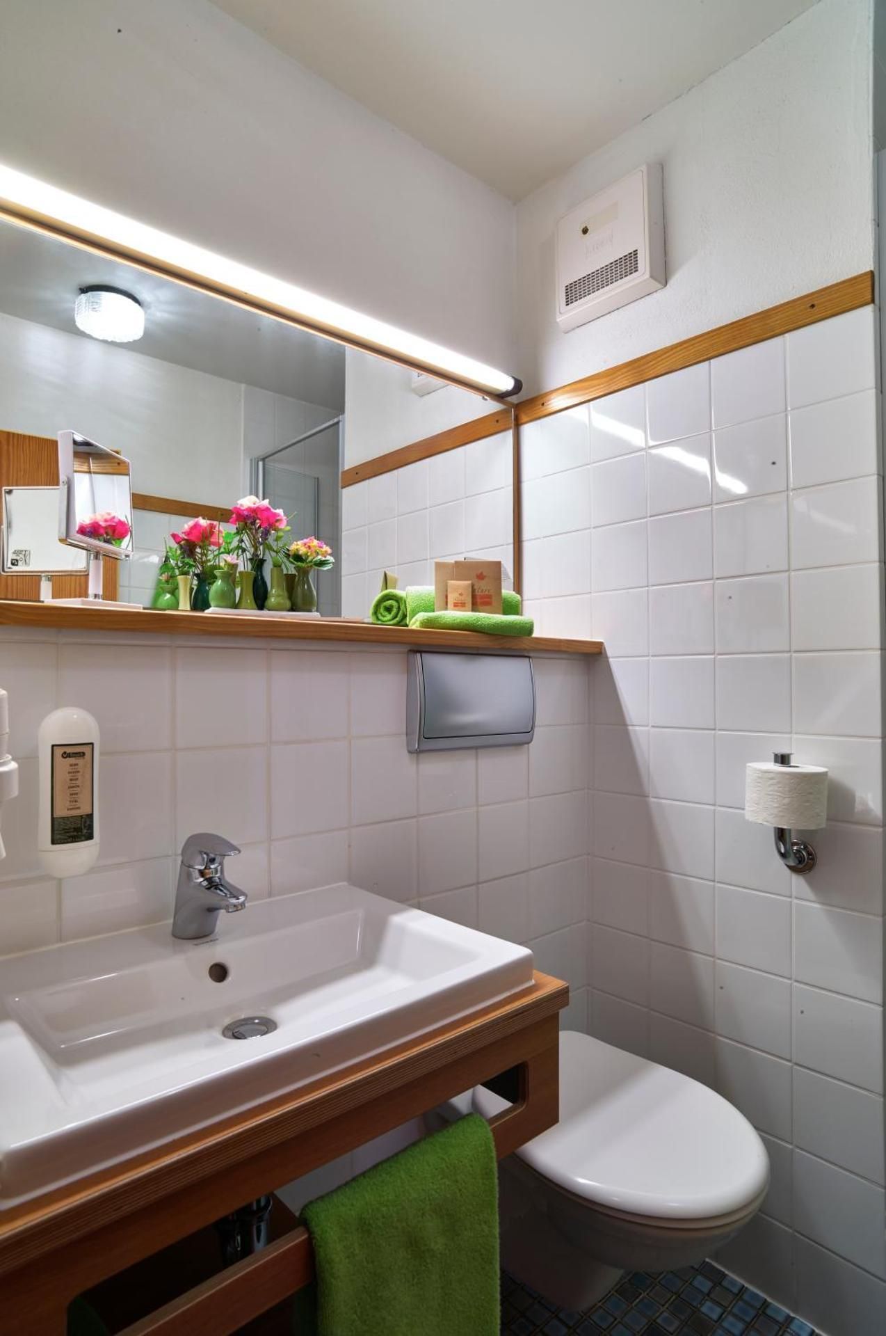 Single Room with Terrace