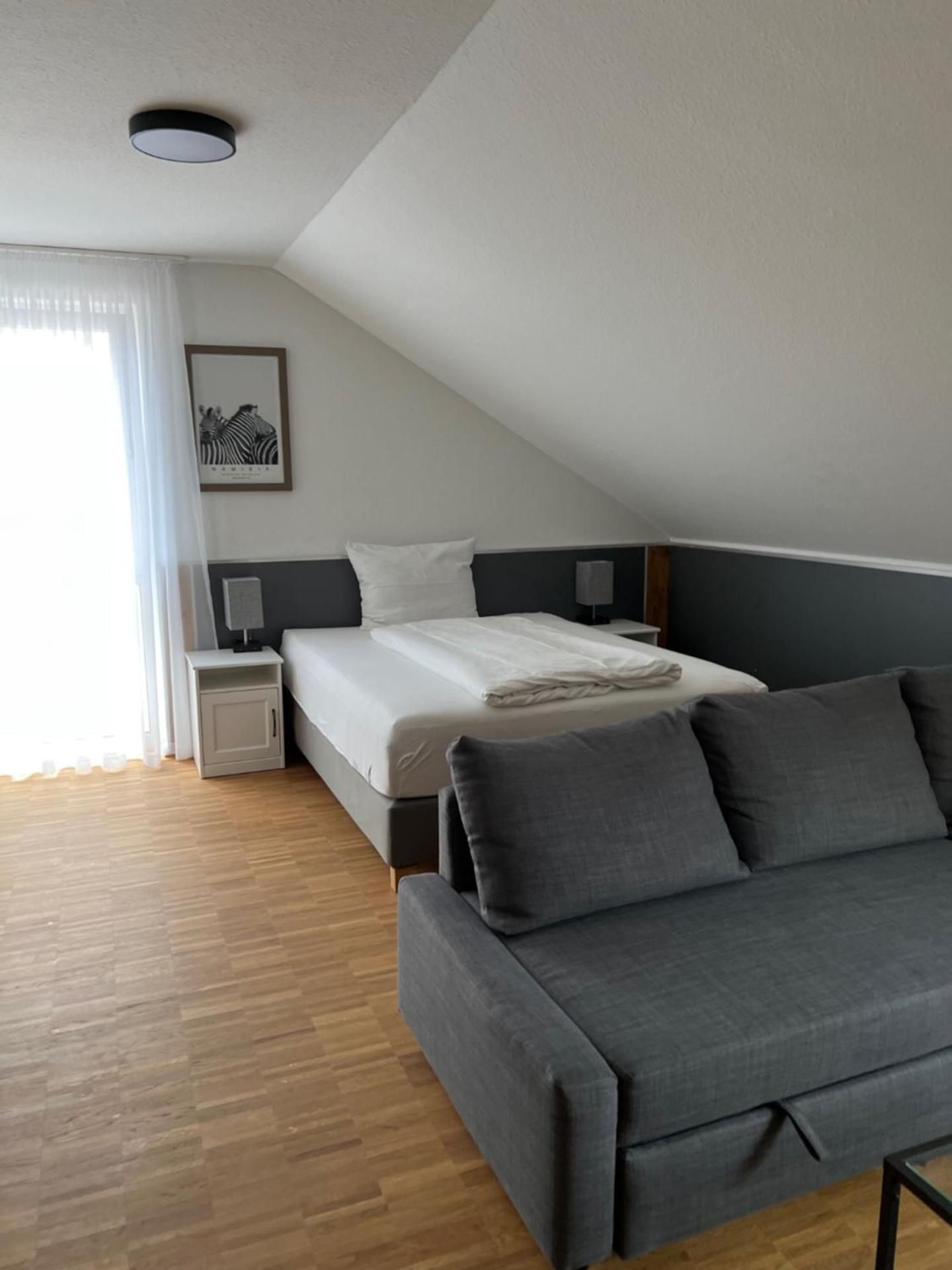 Studio with Sofa Bed