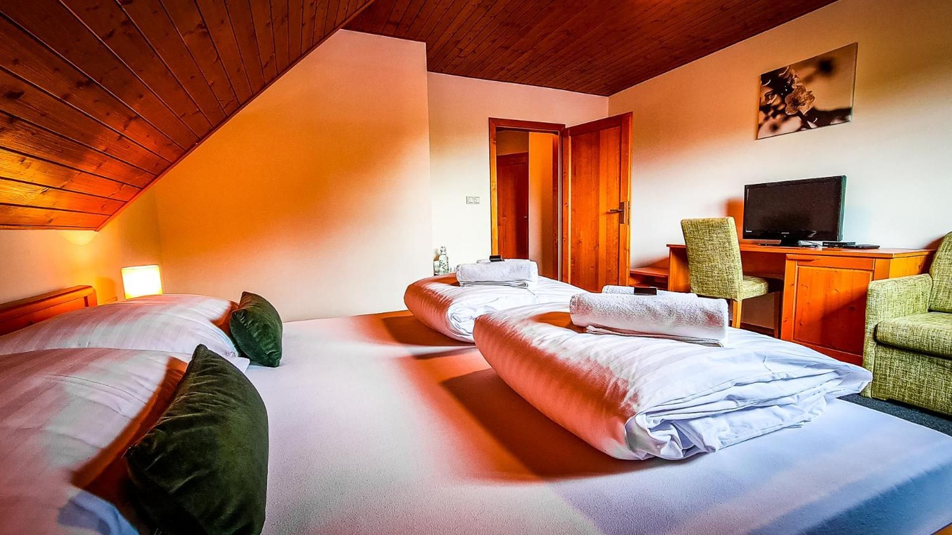 Double Room with Mountain View