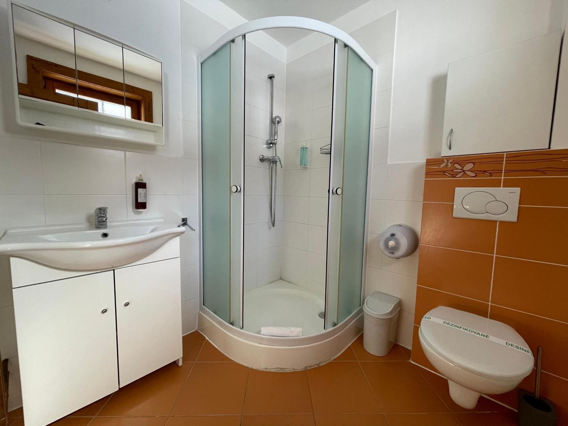 Apartment Classic with 3 Bedrooms