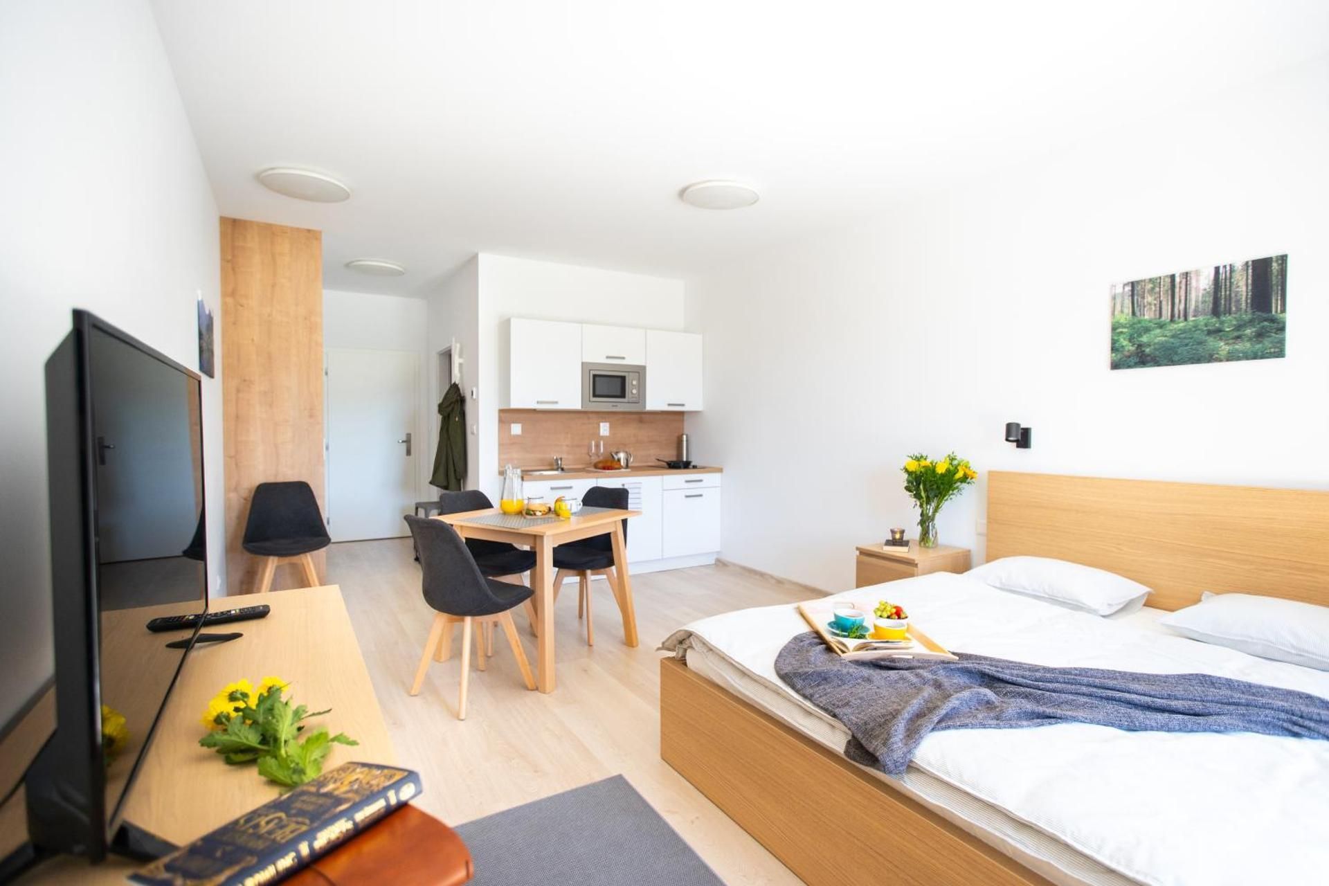 Studio Apartment with One Double Bed