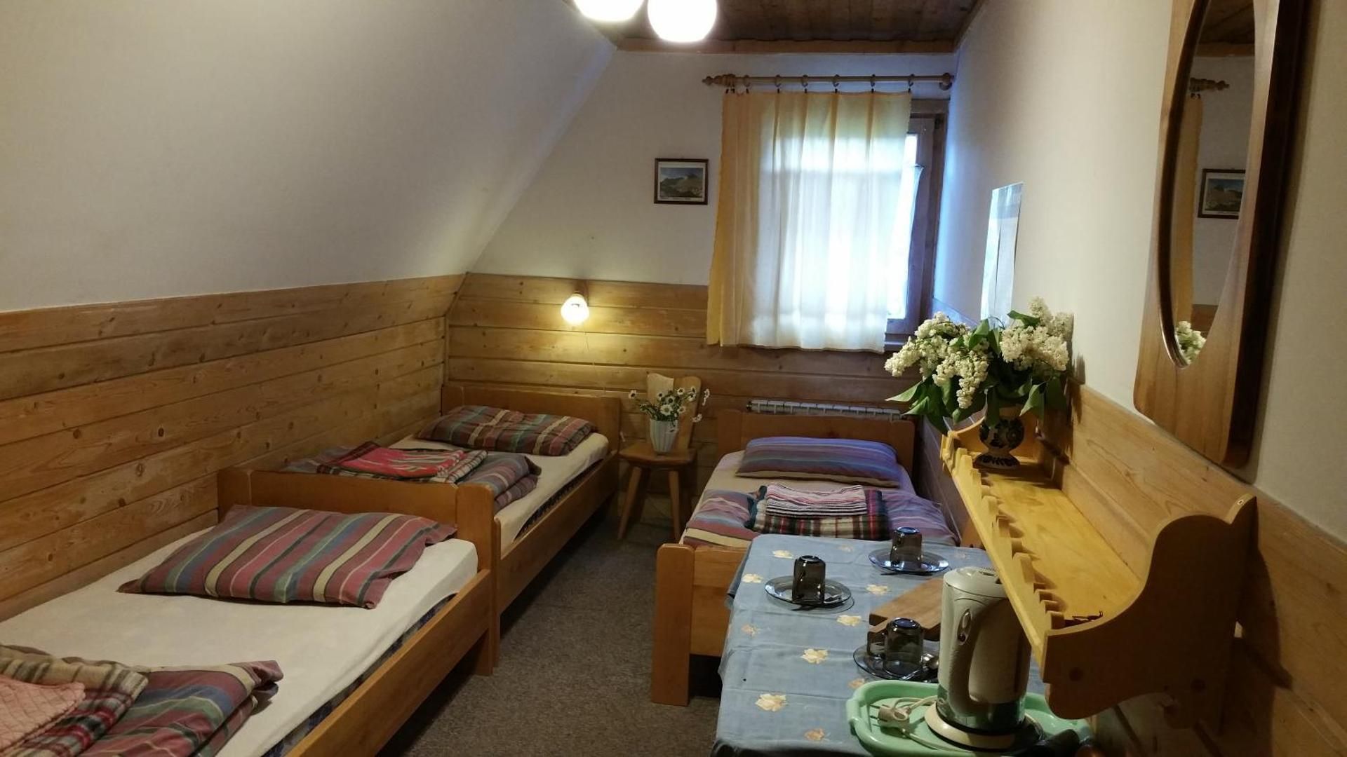 Basic Triple Room with View