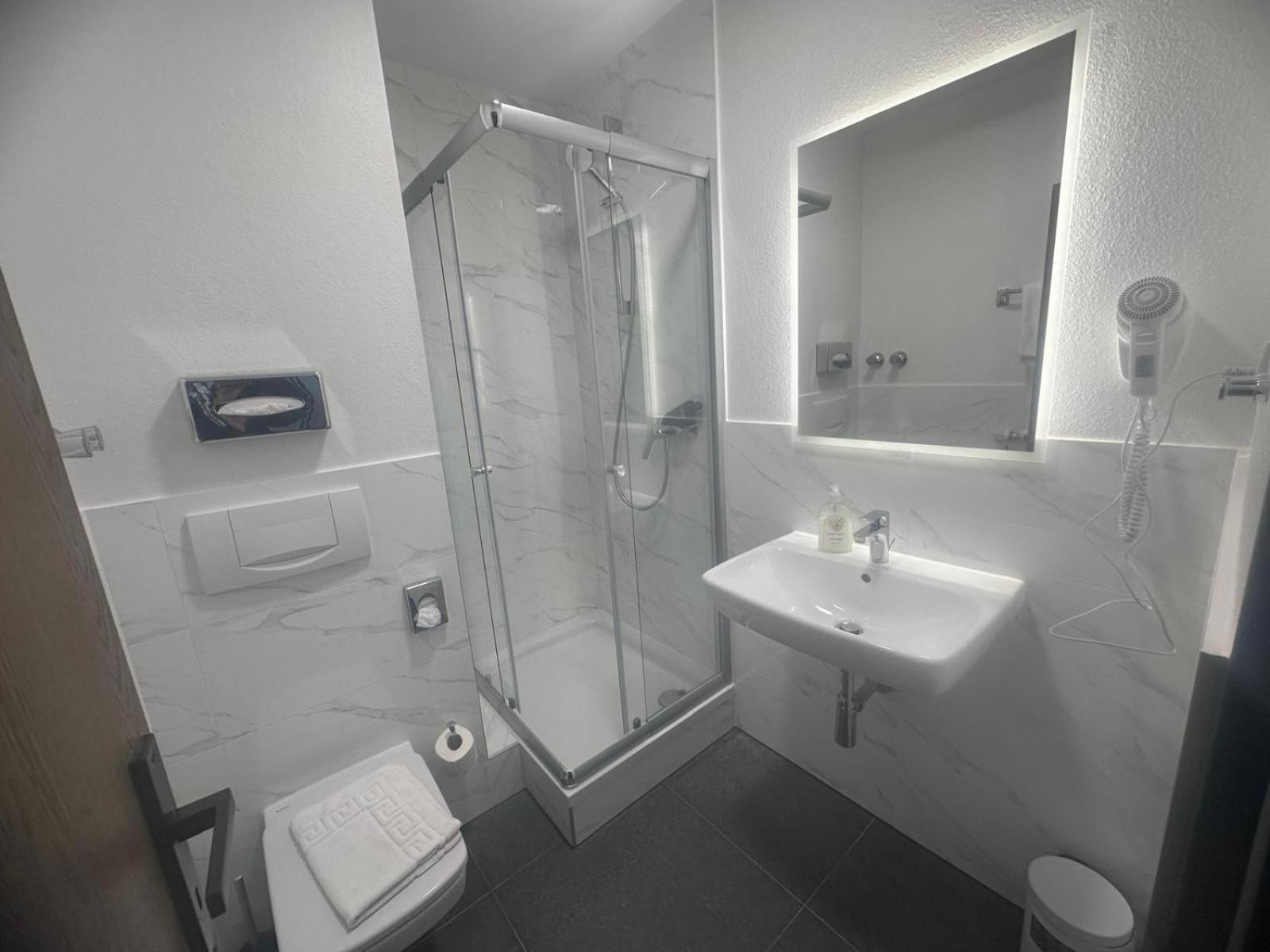 Panorama Hotel Rheinkrone Single Room 2