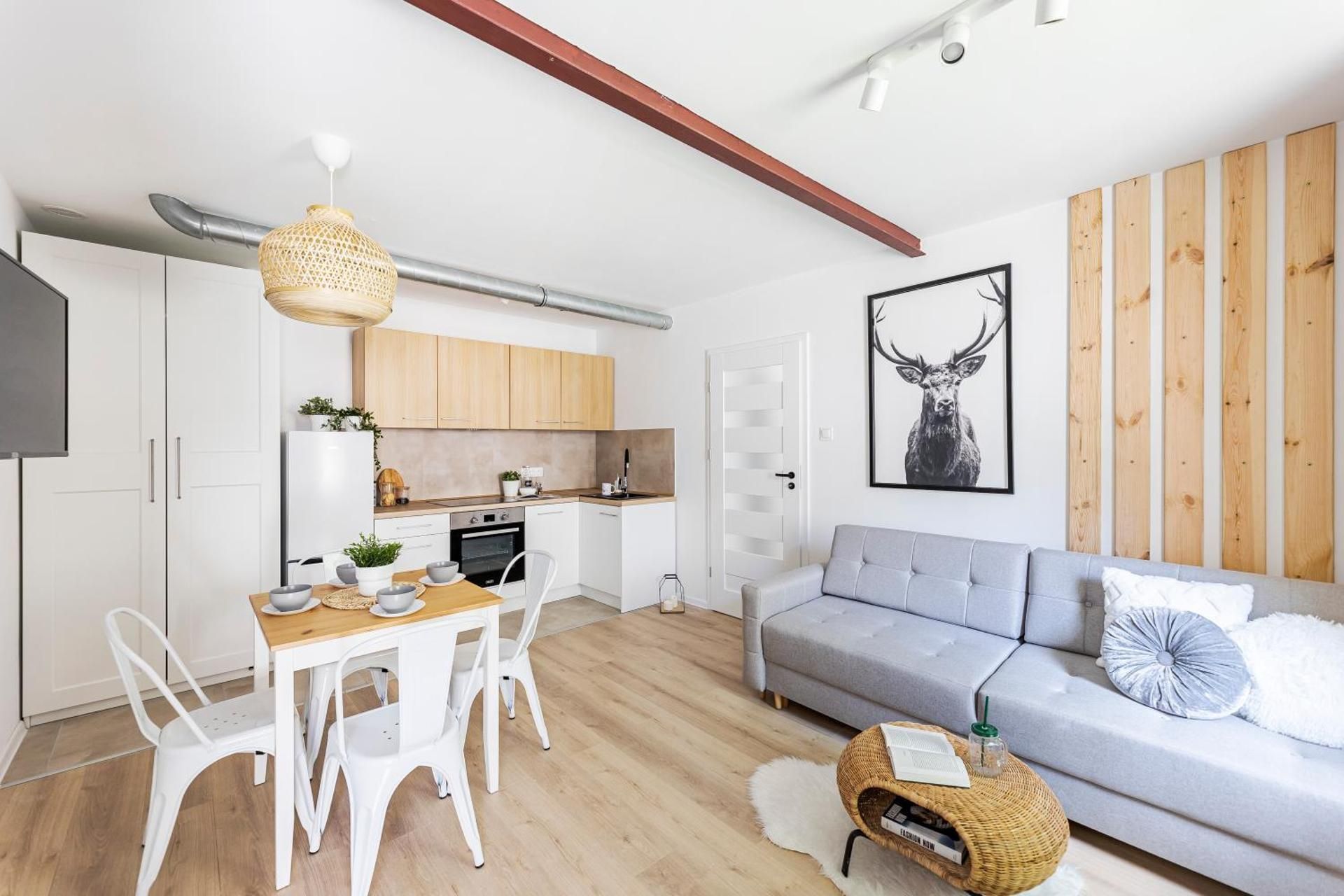 Apartament III