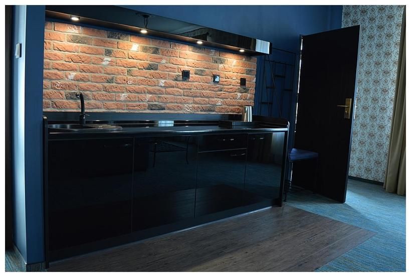 Deluxe One-Bedroom Apartment