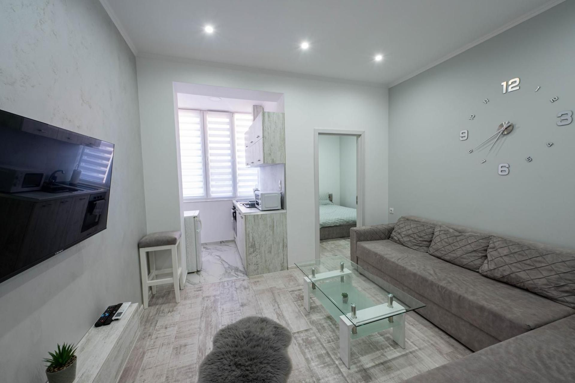 Deluxe One-Bedroom Apartment