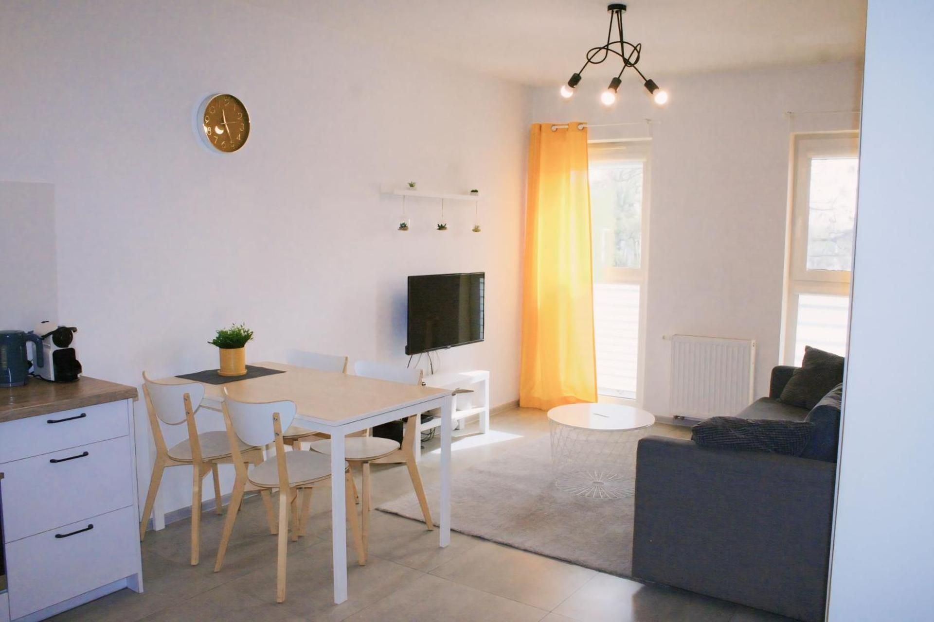 Deluxe One-Bedroom Apartment