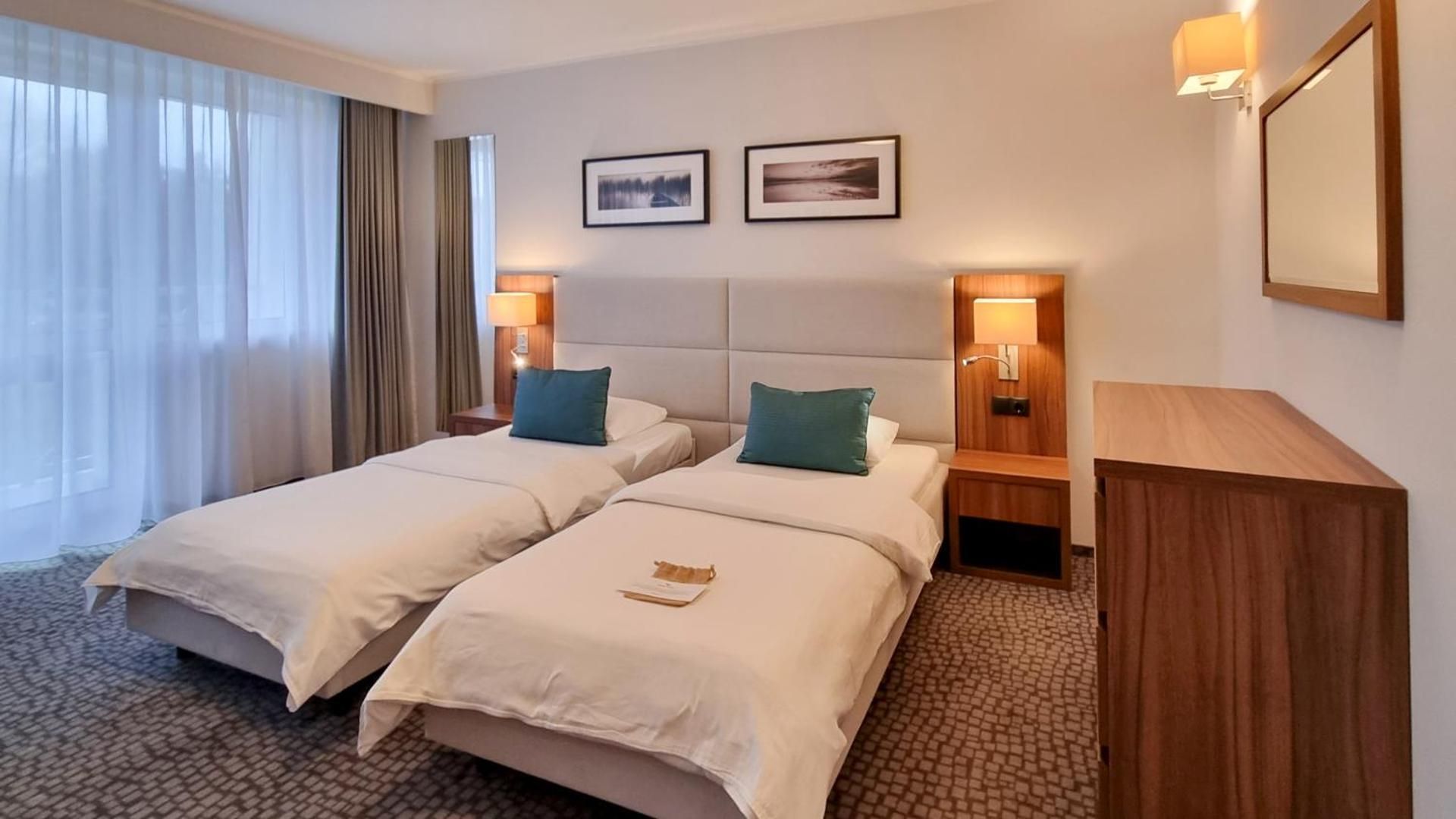 Superior Double or Twin Room