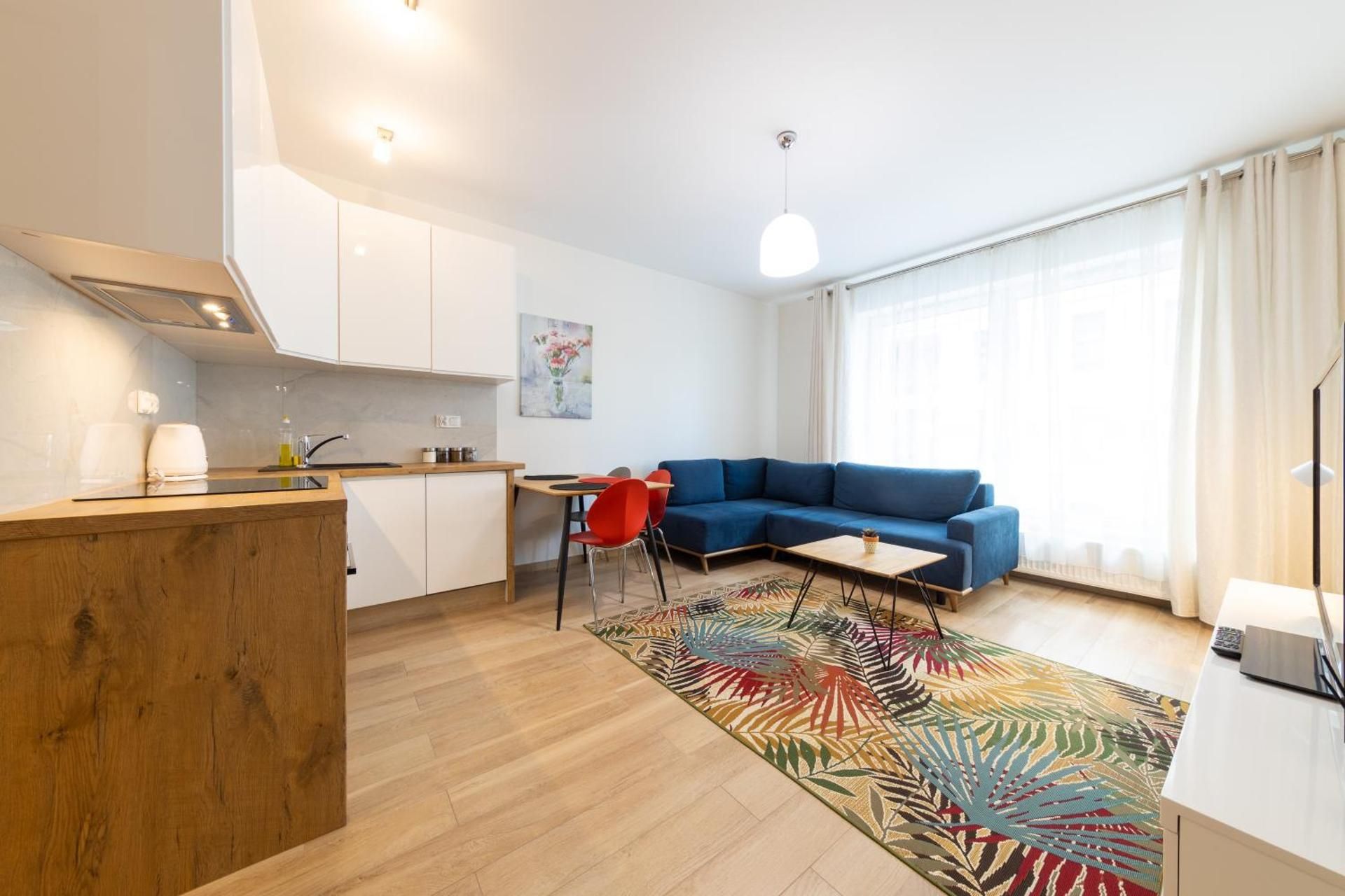 Studio with Sofa Bed
