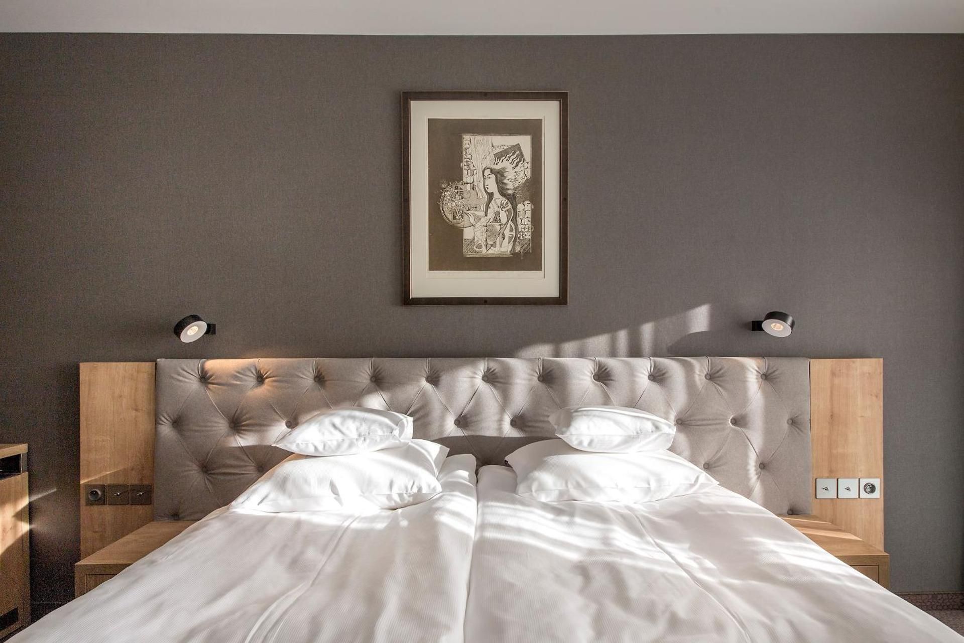 Classic Single Room with Mountain View