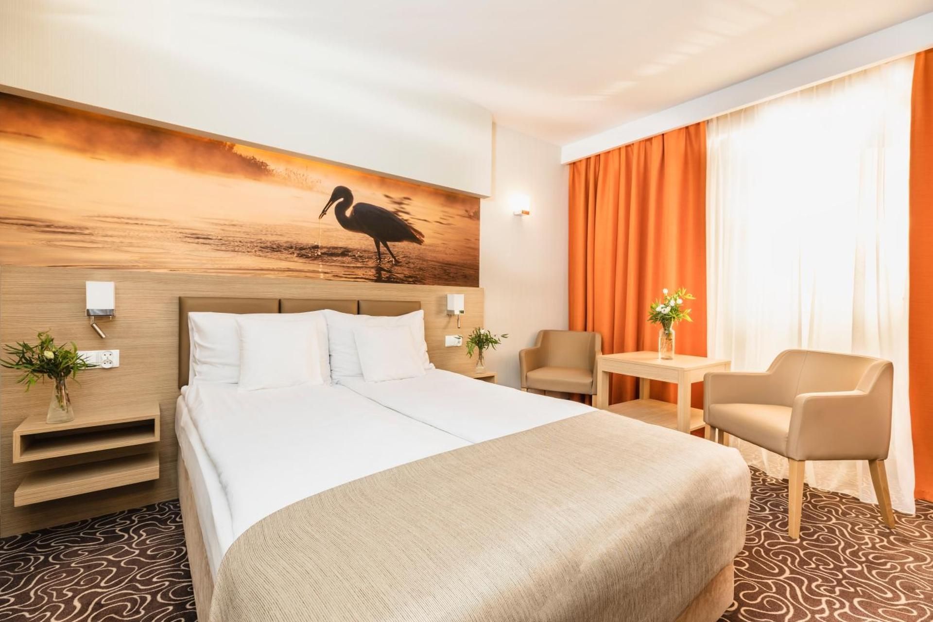 Standard  Double Room