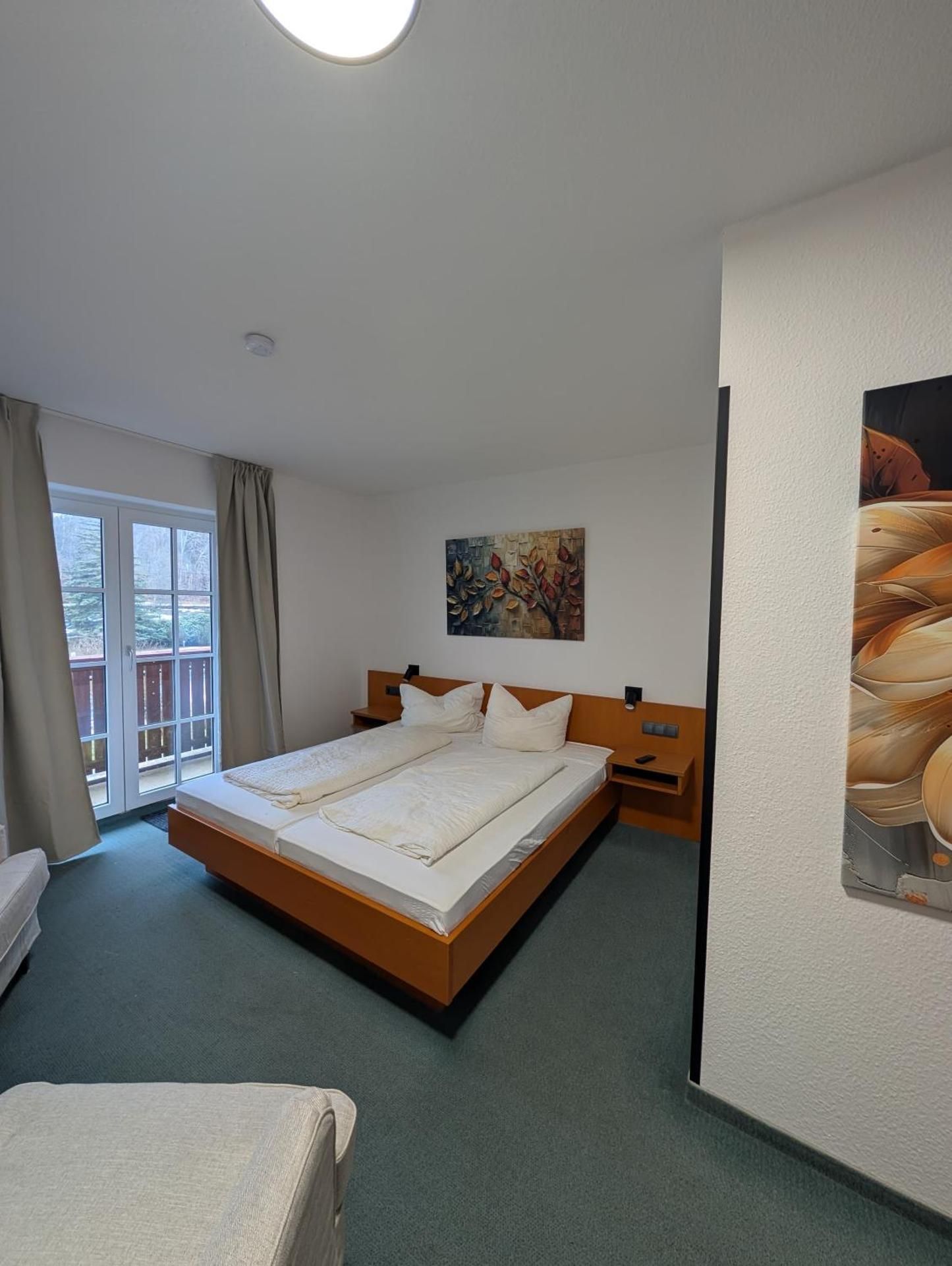 Parkhotel Bad Brambach Double Room with Balcony 2