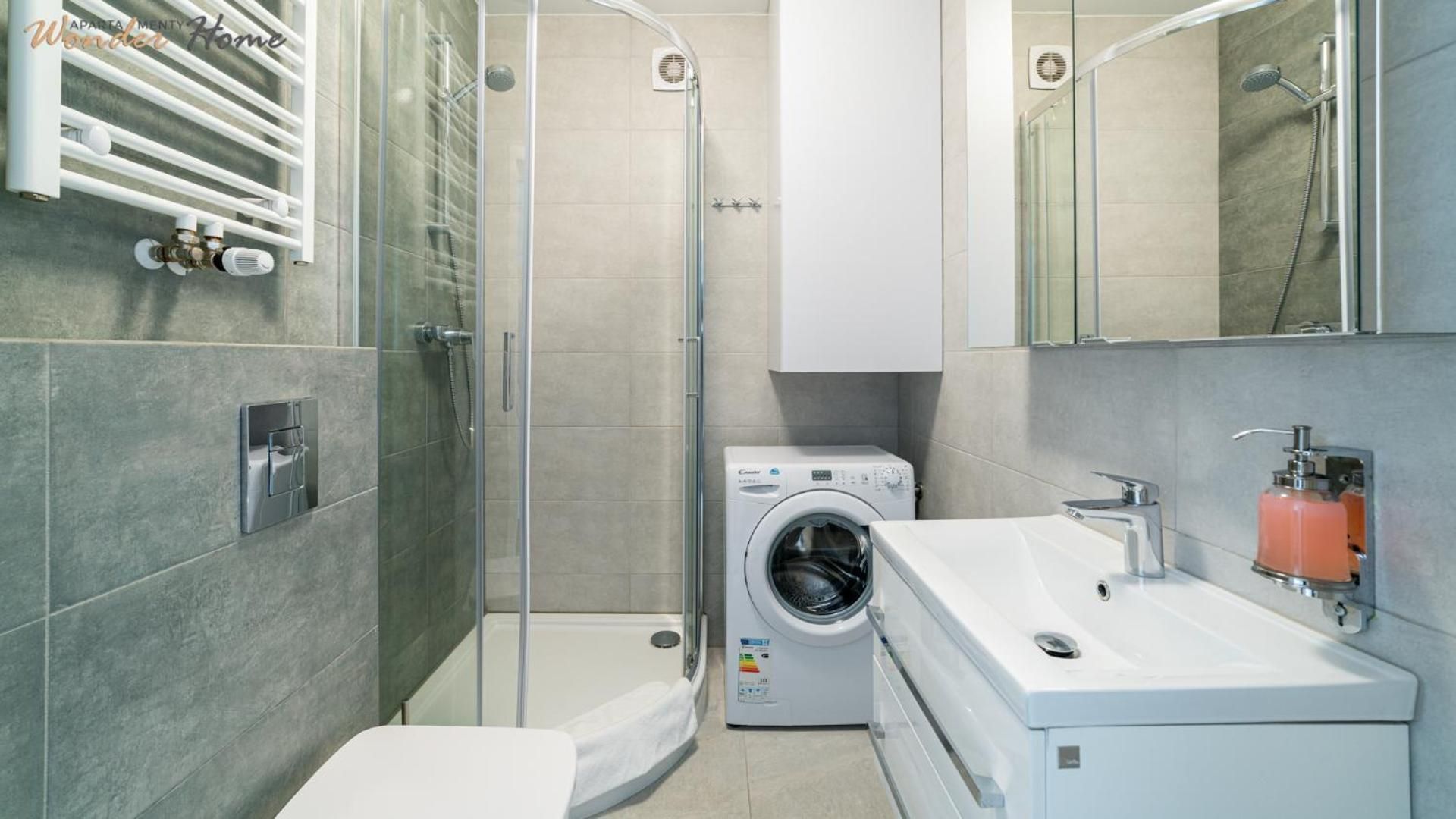 One-Bedroom Apartment (Czarujący)