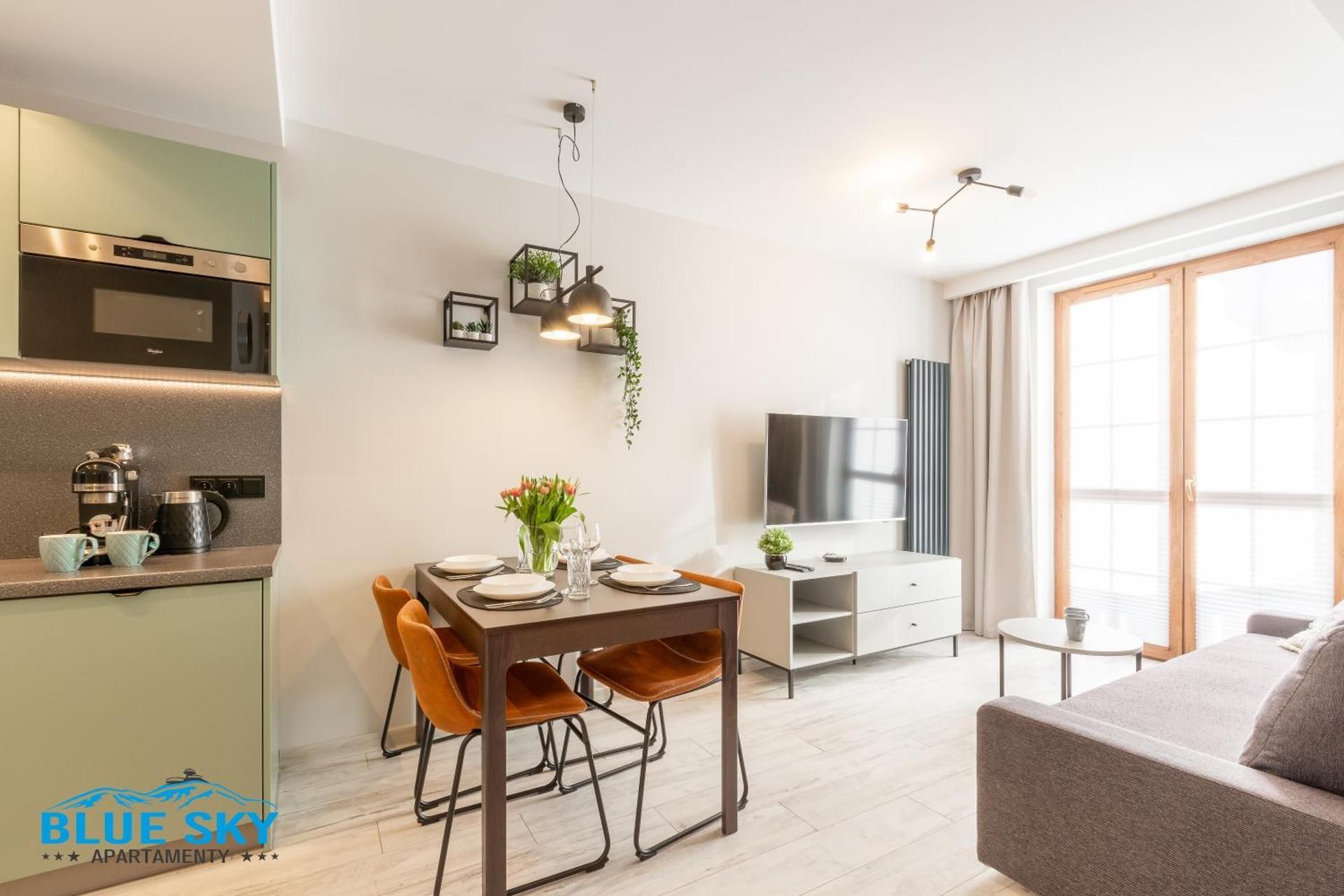 Deluxe One-Bedroom Apartment
