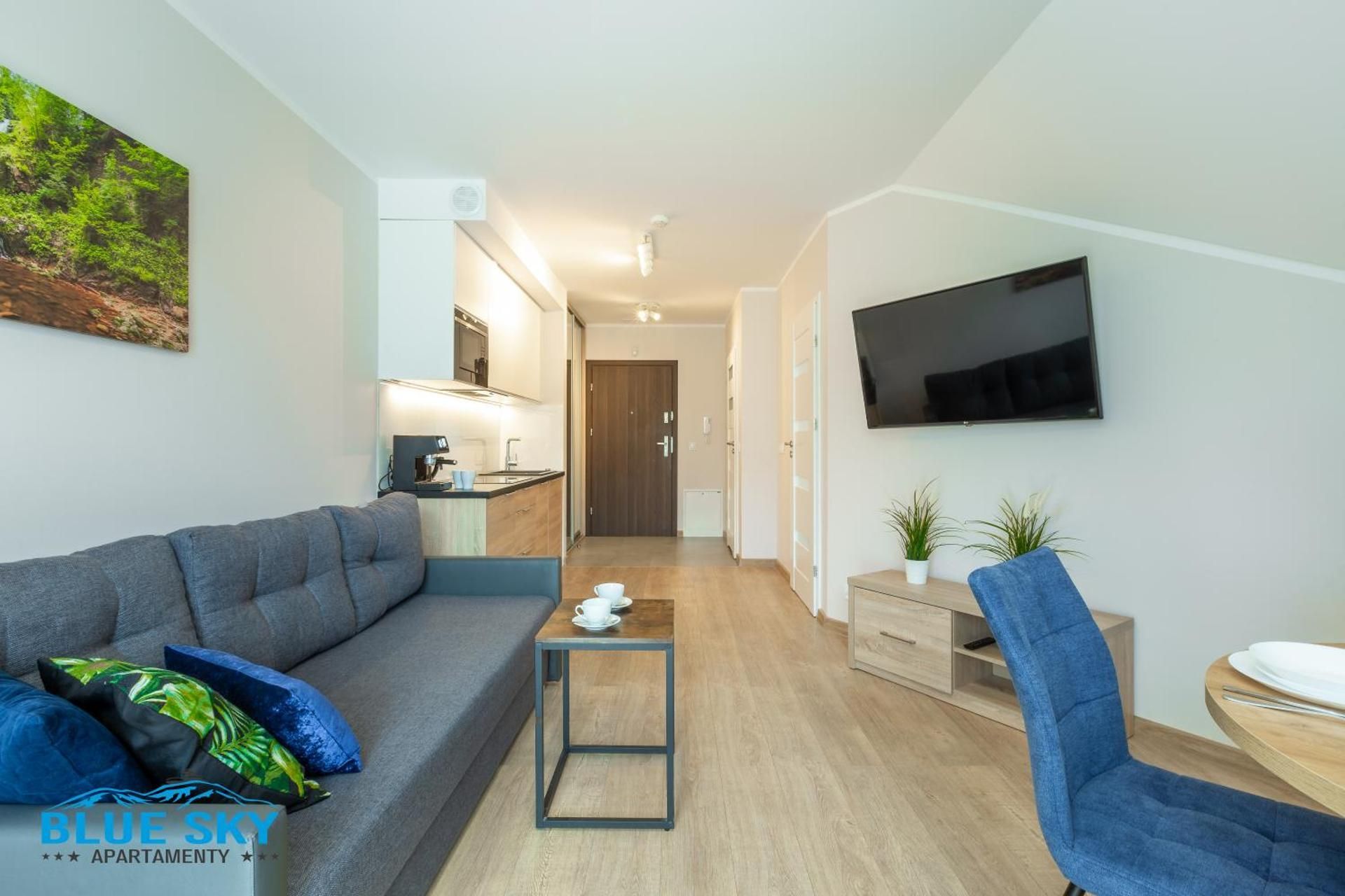 Apartment with Mountain View