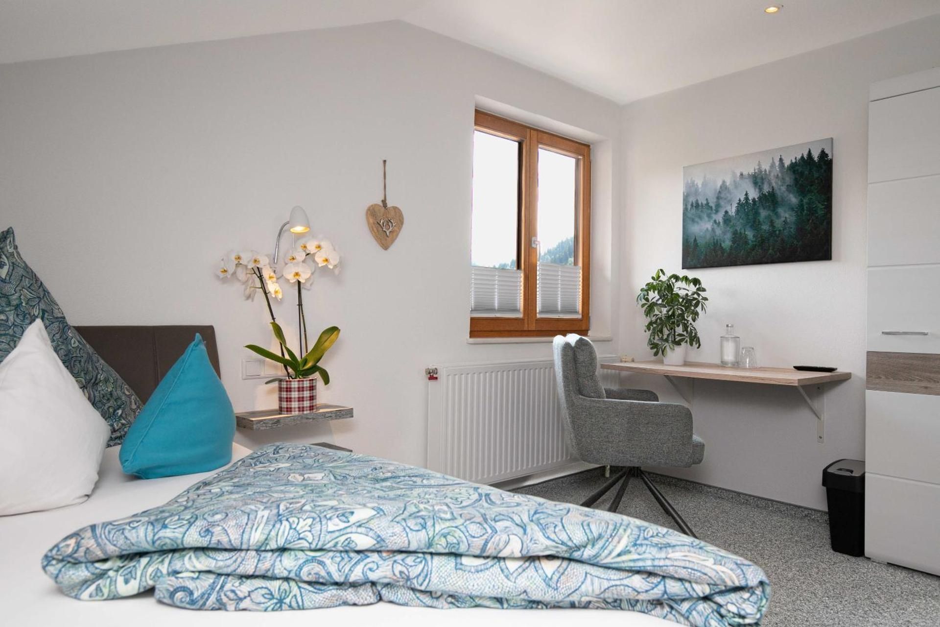 Standard Single Room with Mountain View