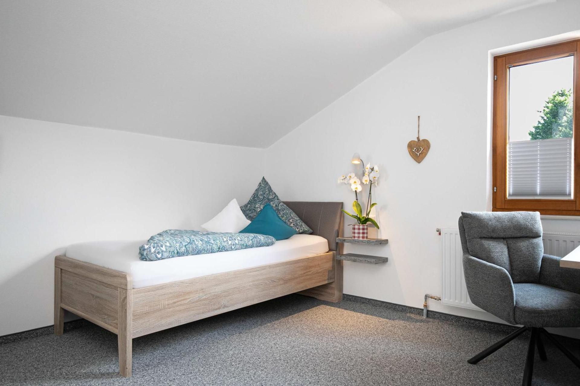 Standard Single Room with Mountain View