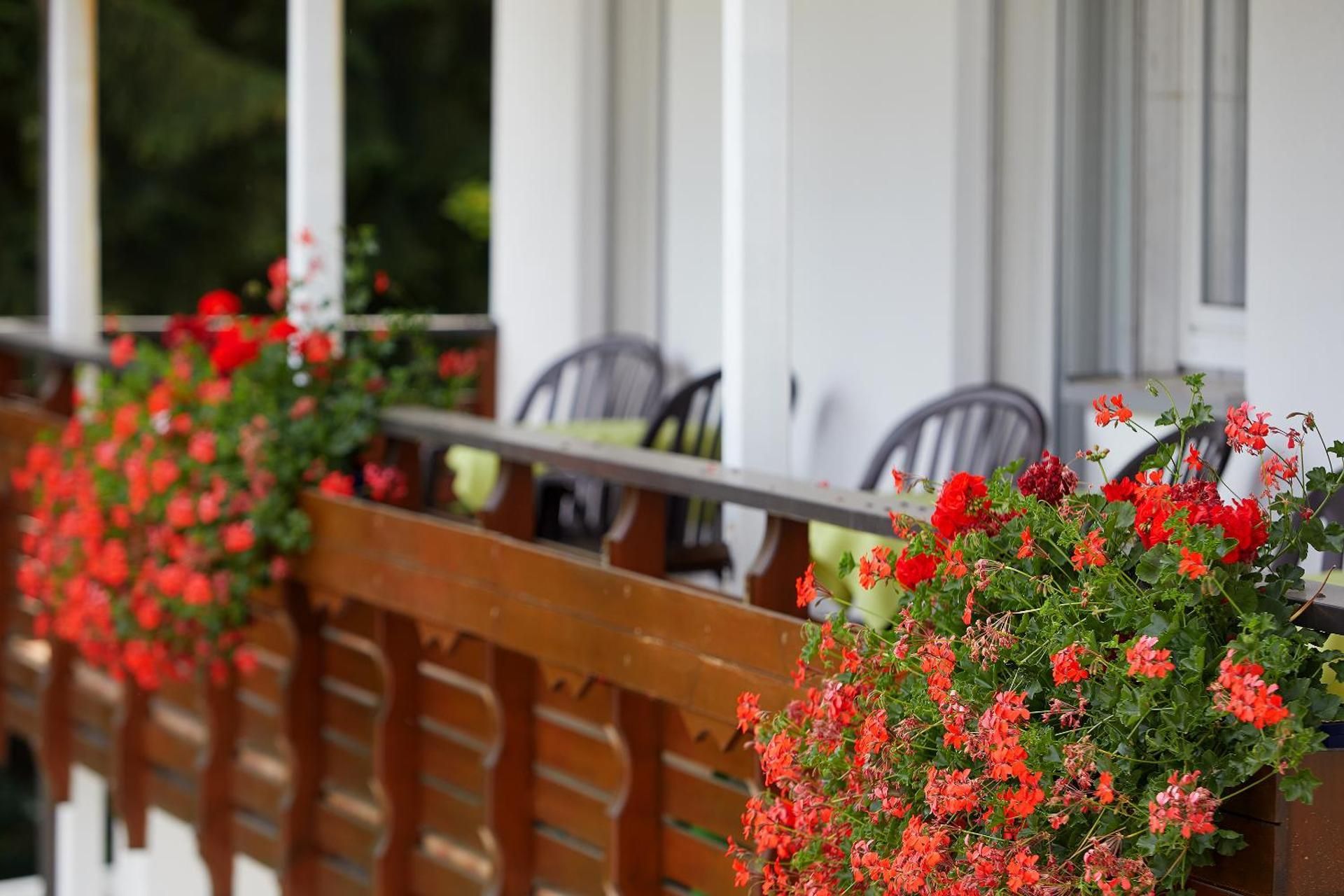 Deluxe Single Room with Balcony