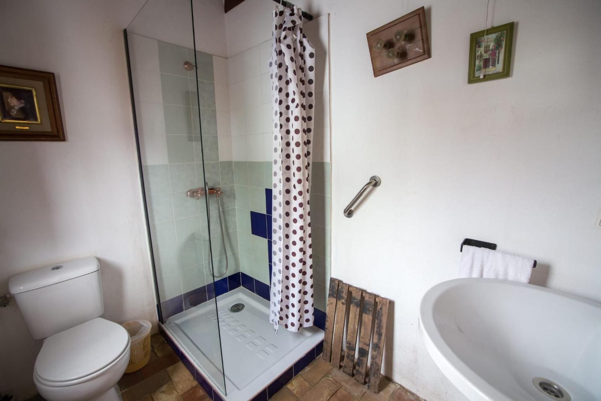 4-Bed Mixed Dormitory Room