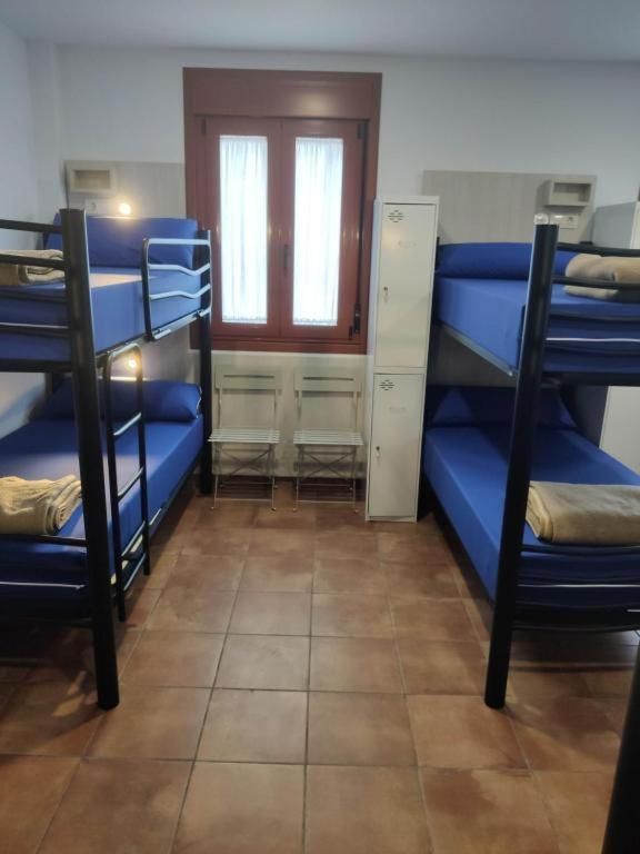 Single Bed in Mixed Dormitory Room
