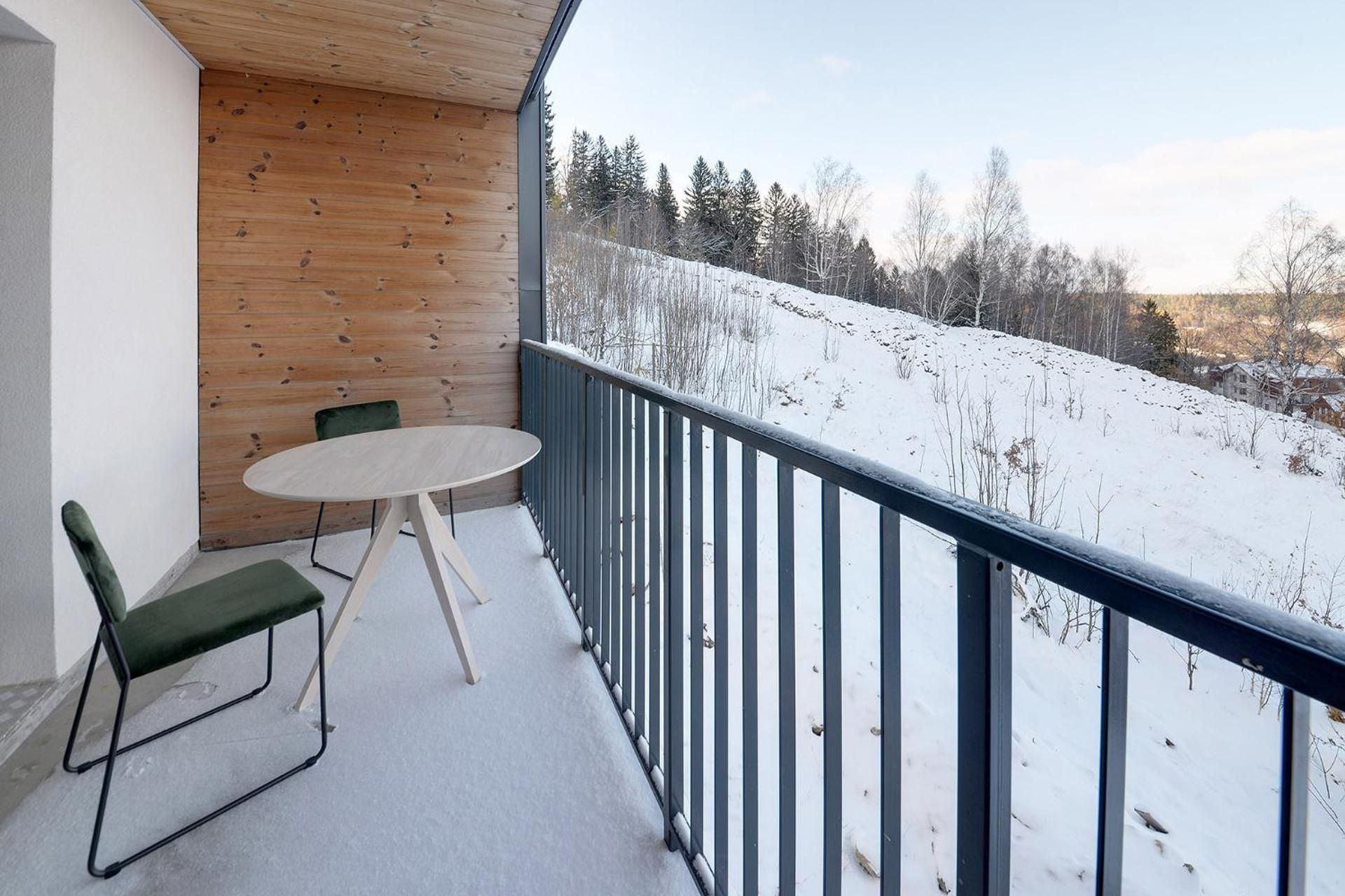 One-Bedroom Apartment with Balcony and Mountain View