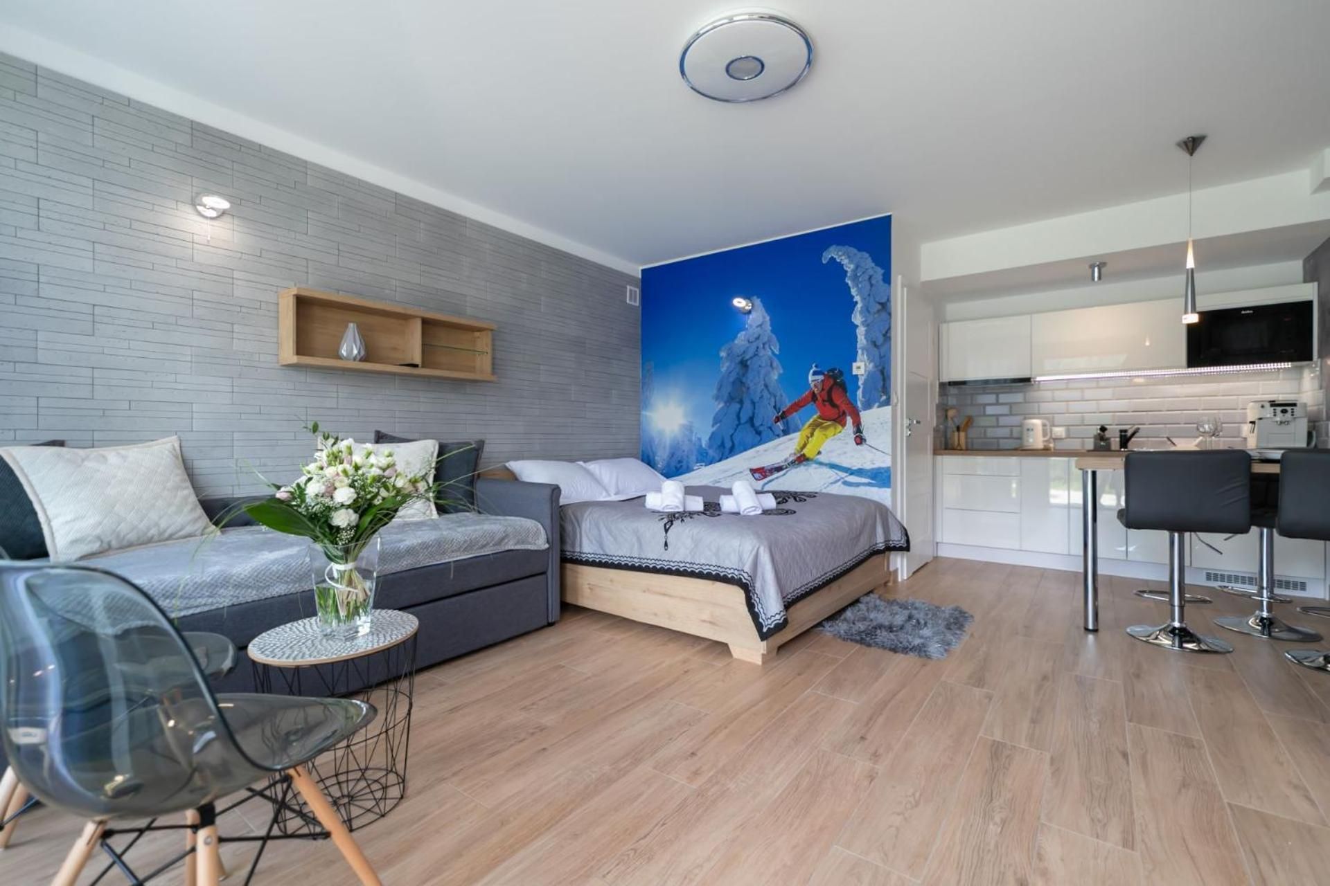 Studio with Sofa Bed