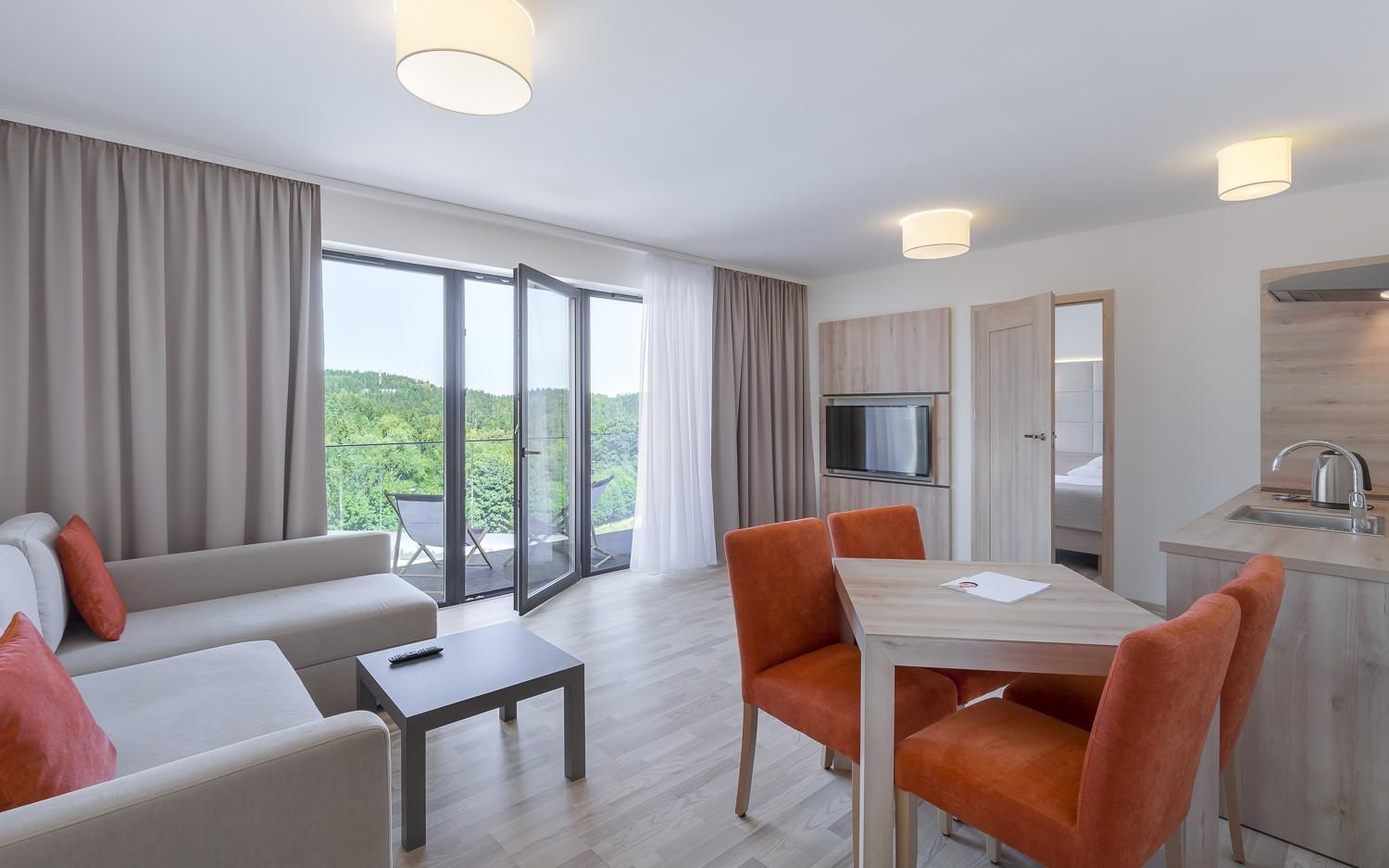 Deluxe Apartment