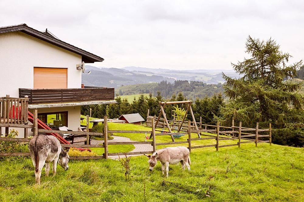 surrounding environment