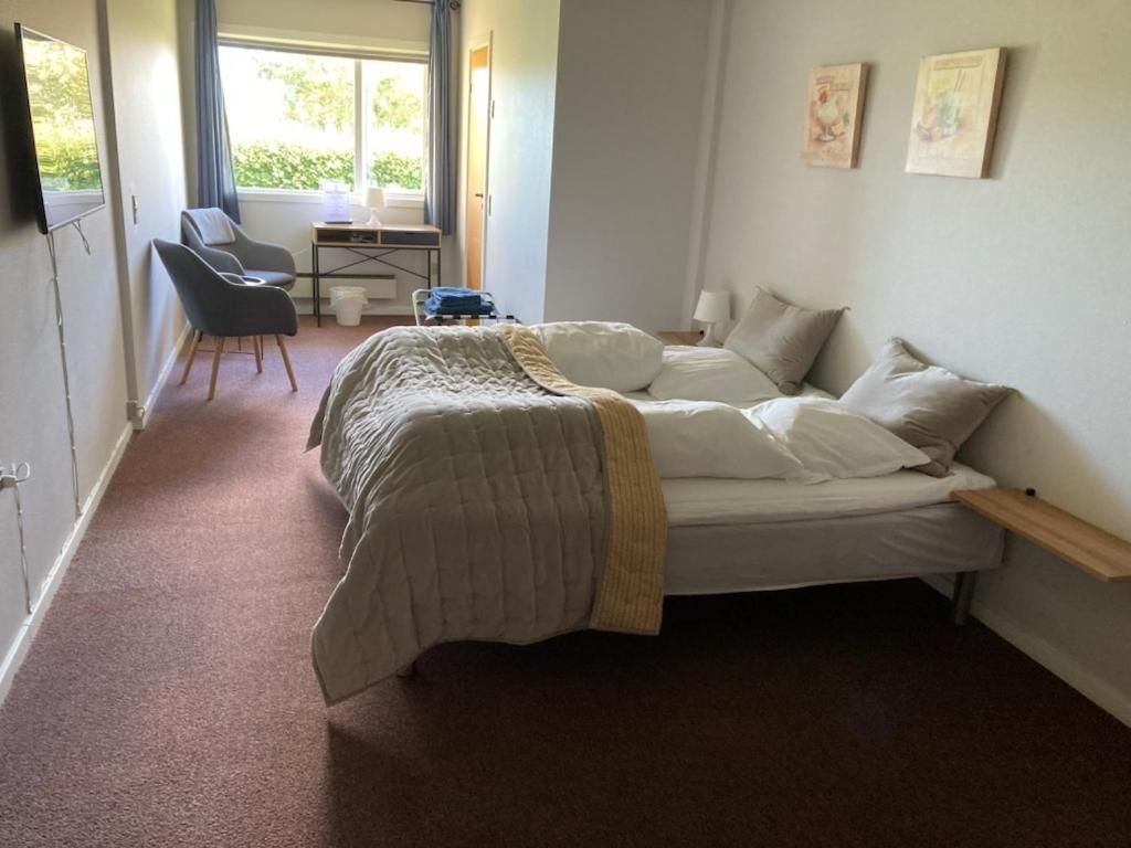 Basic Double Room