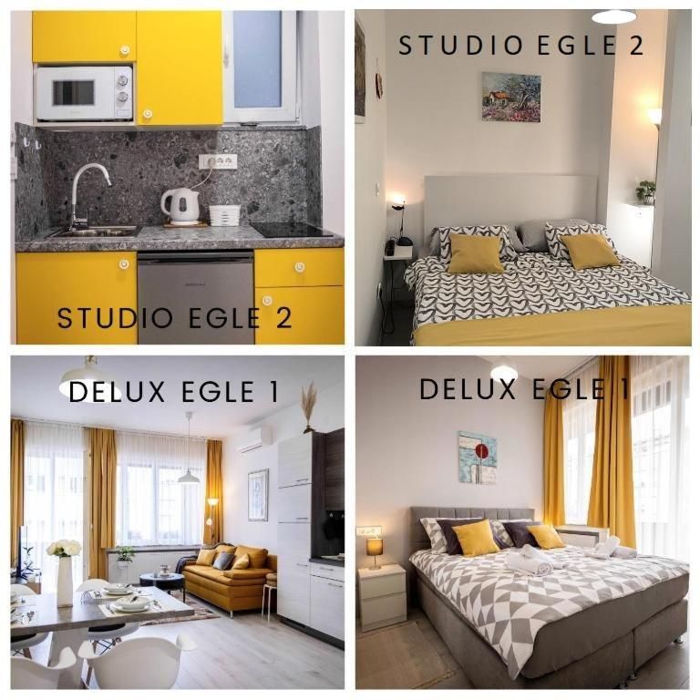 Studio with Sofa Bed