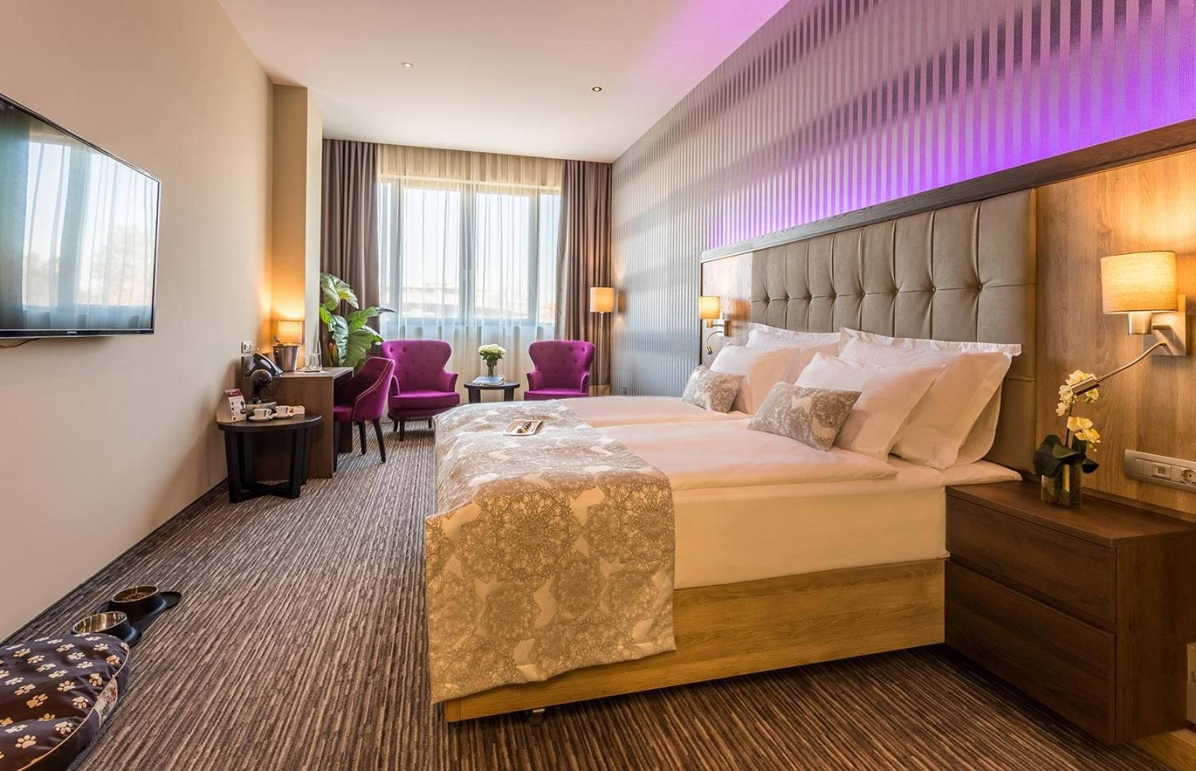 Executive Double or Twin Room