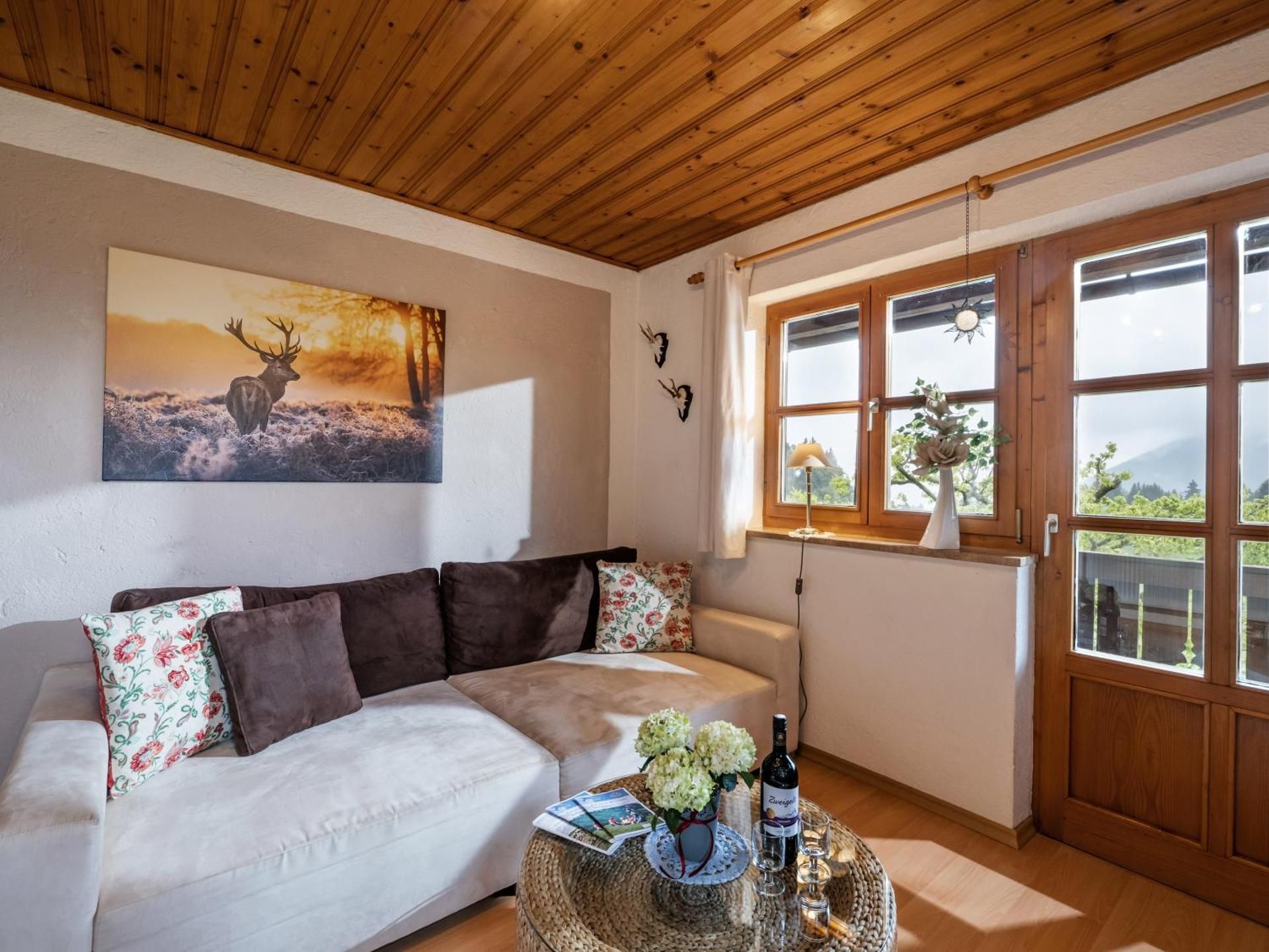 Apartment with Mountain View