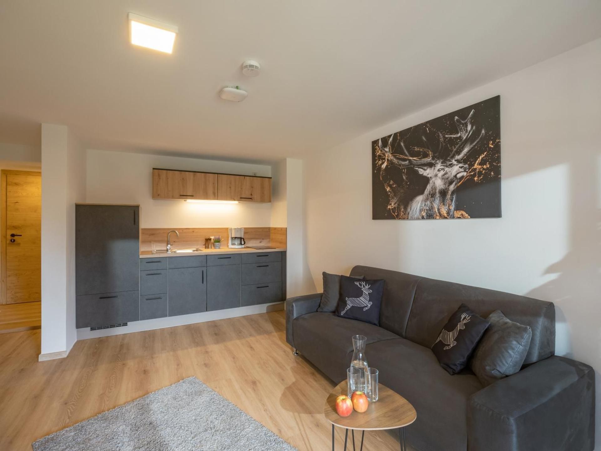 Large Double or Twin Room