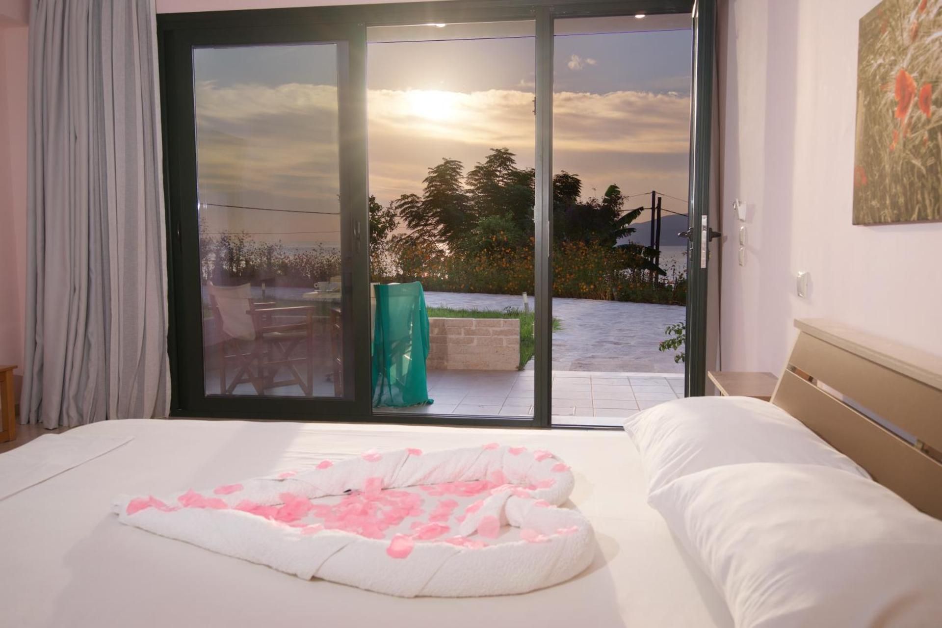 Studio with Garden View