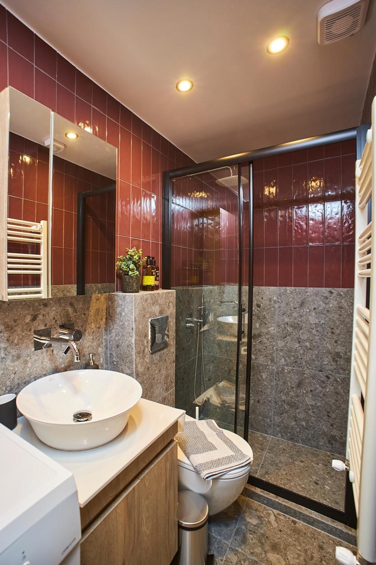 One-Bedroom Apartment with Terrace