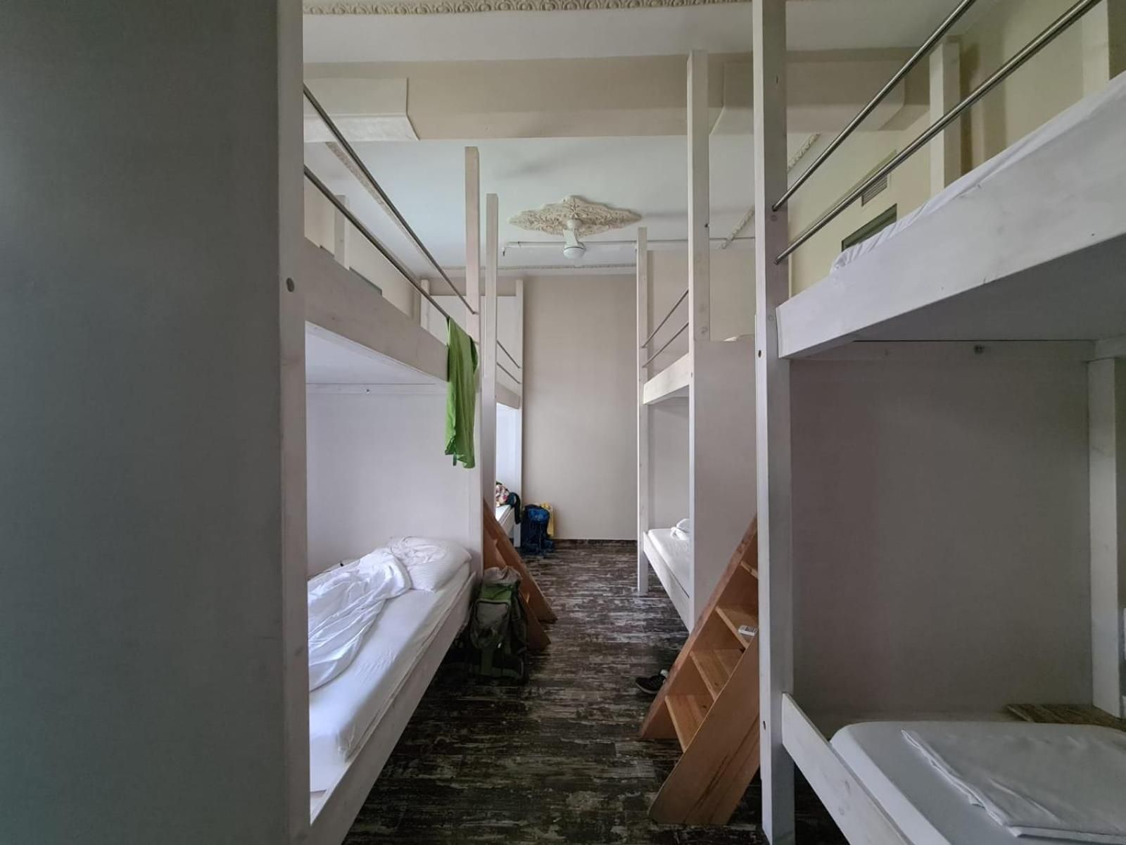 Bed in 8-Bed Dormitory Room