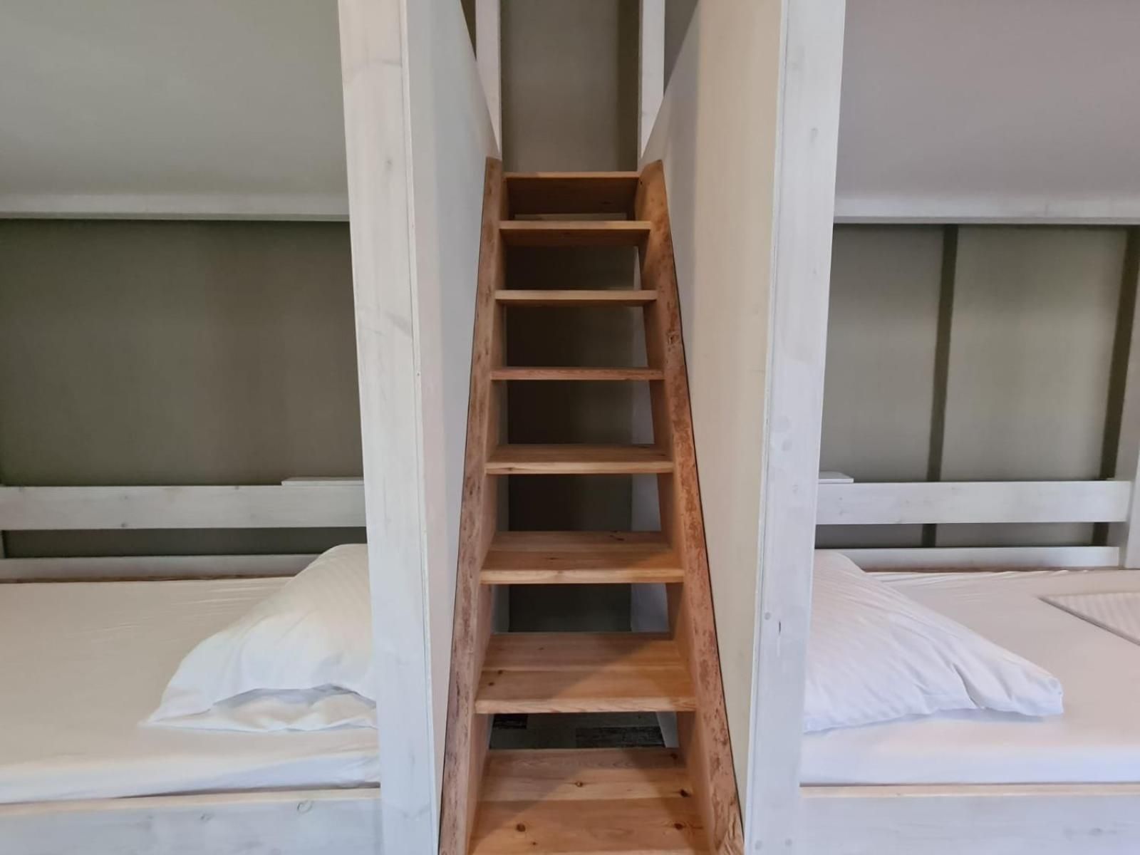 Bed in 4-Bed Dormitory Room