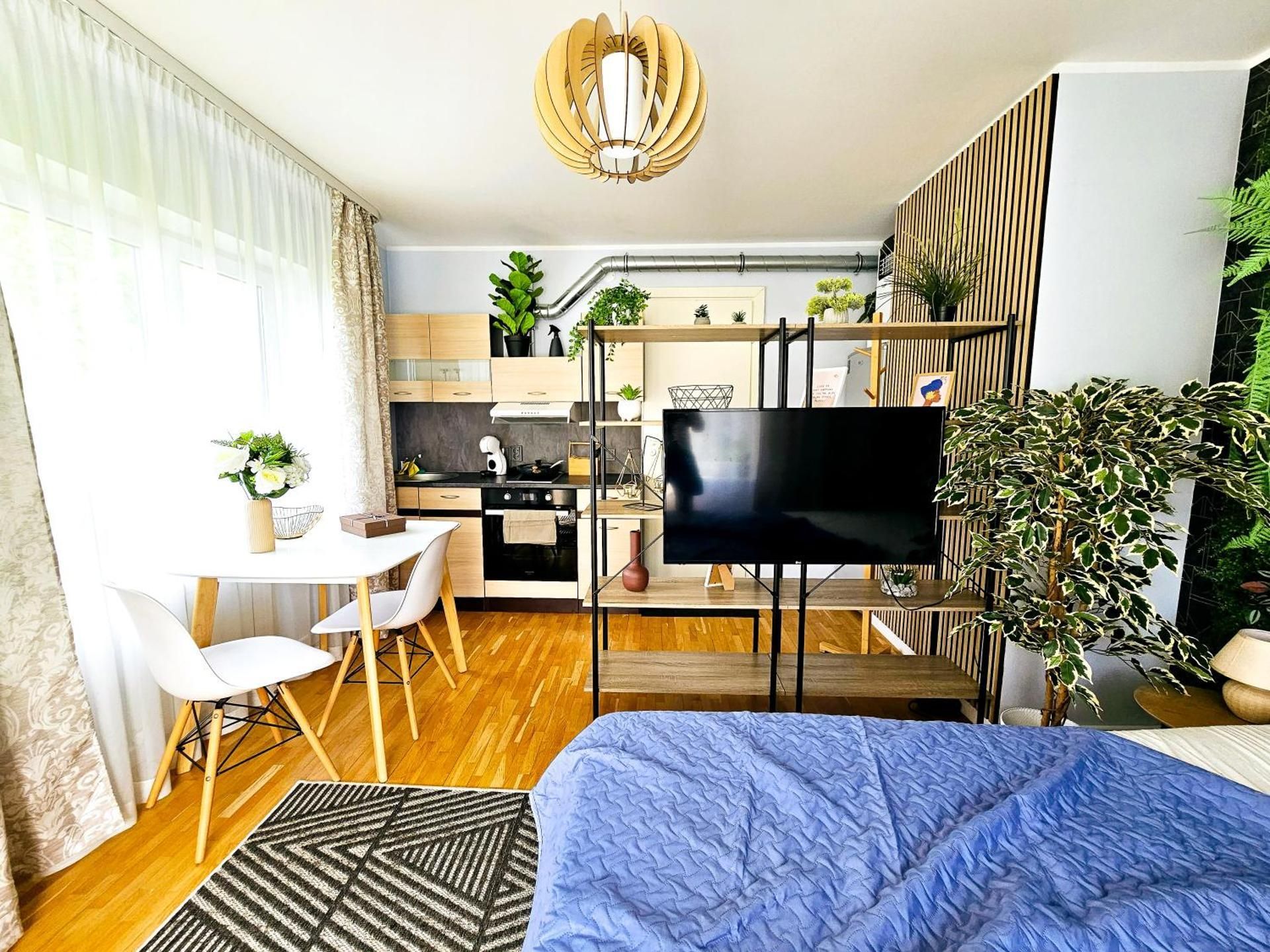 Studio Apartment