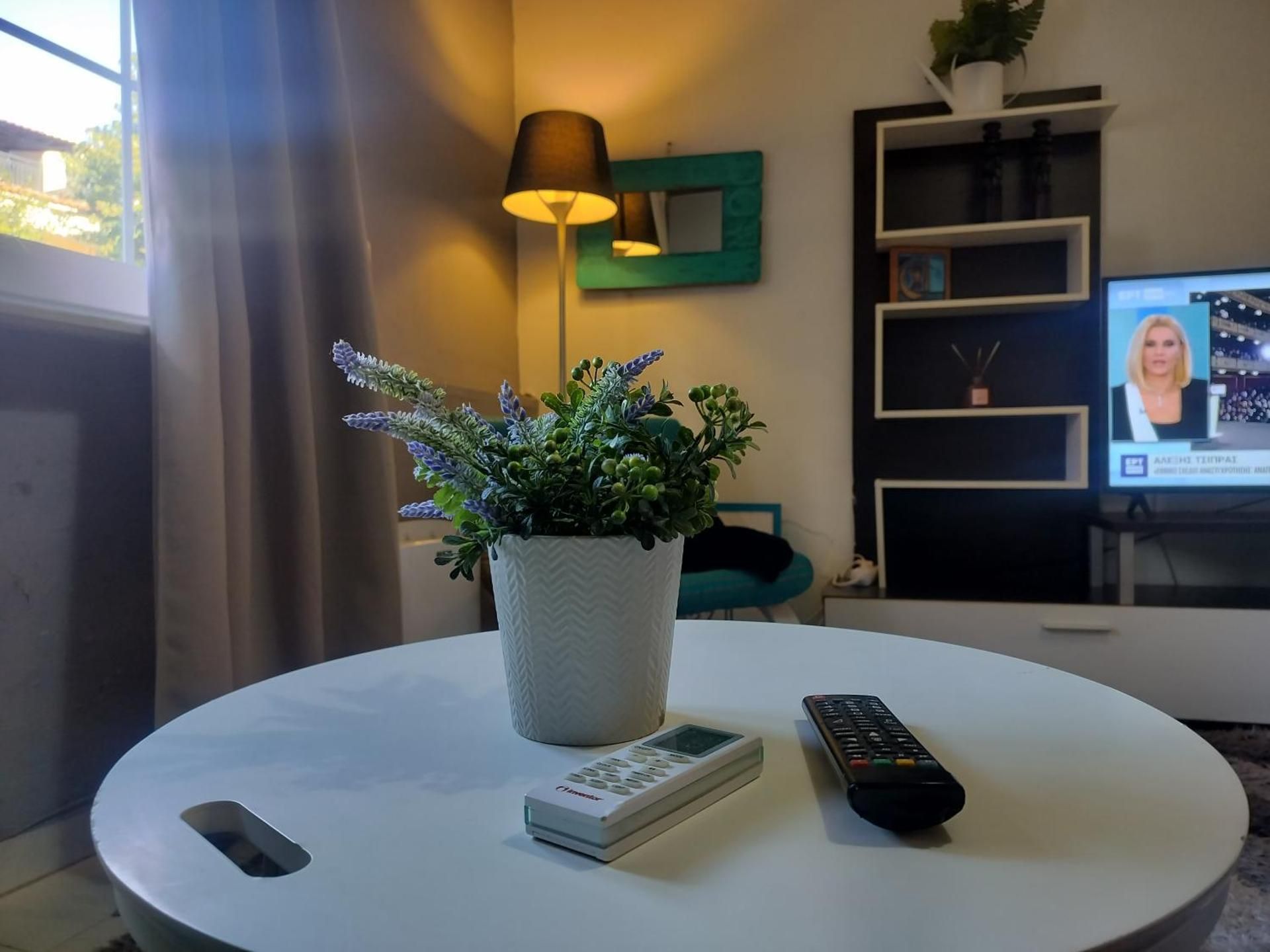 Studio with Terrace