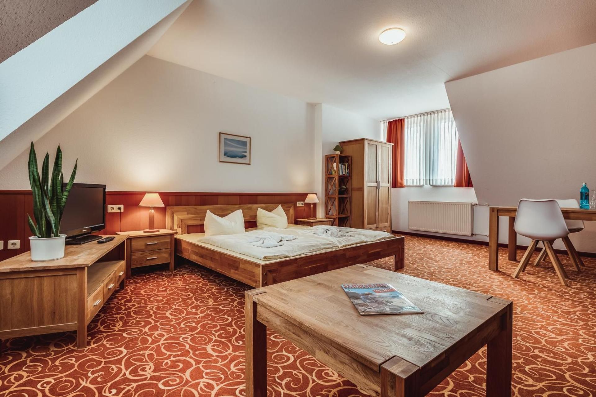 1-Room Apartment