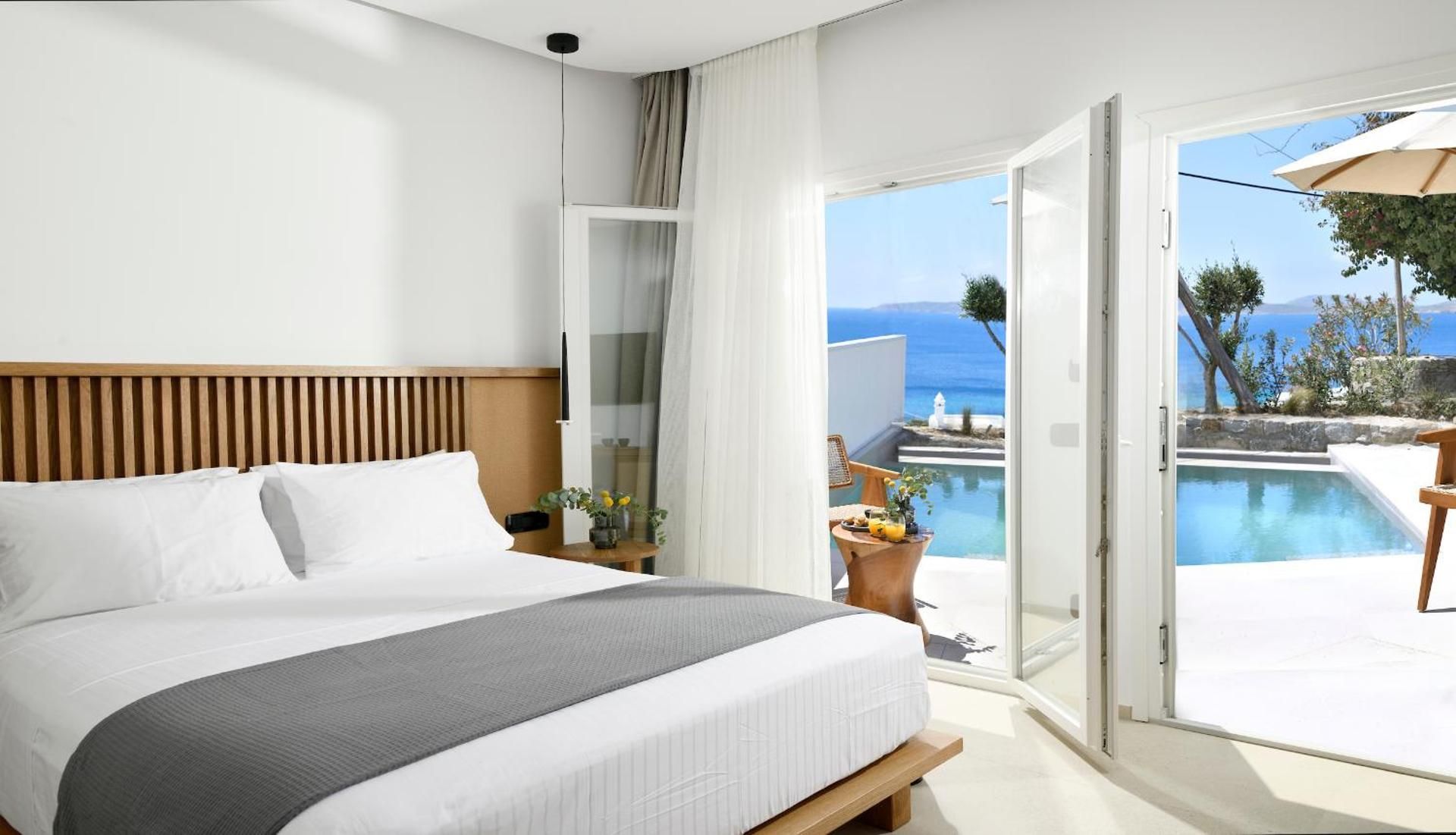 Deluxe Double Room with private small pool with sea view