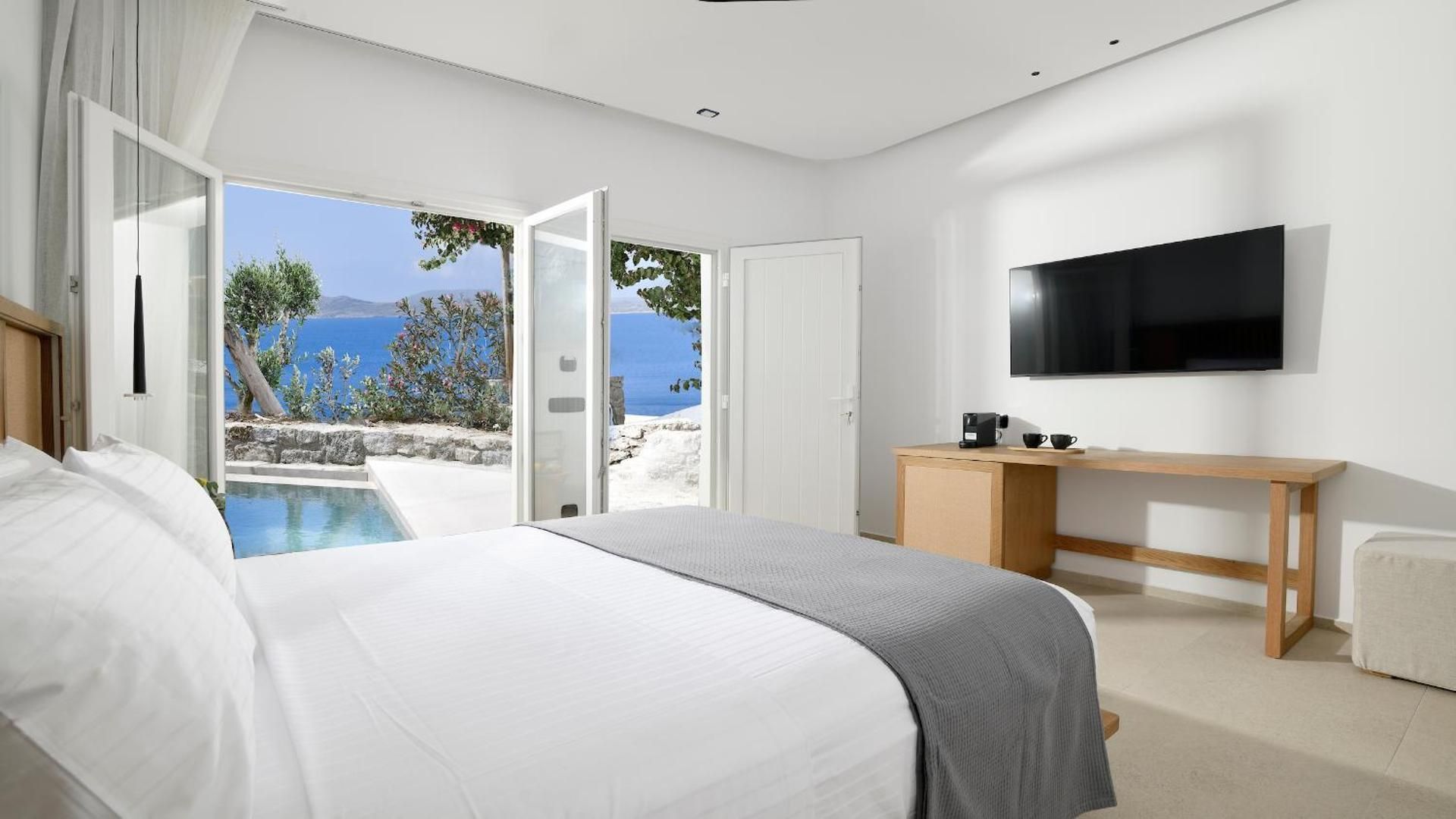 Deluxe Double Room with private small pool with sea view