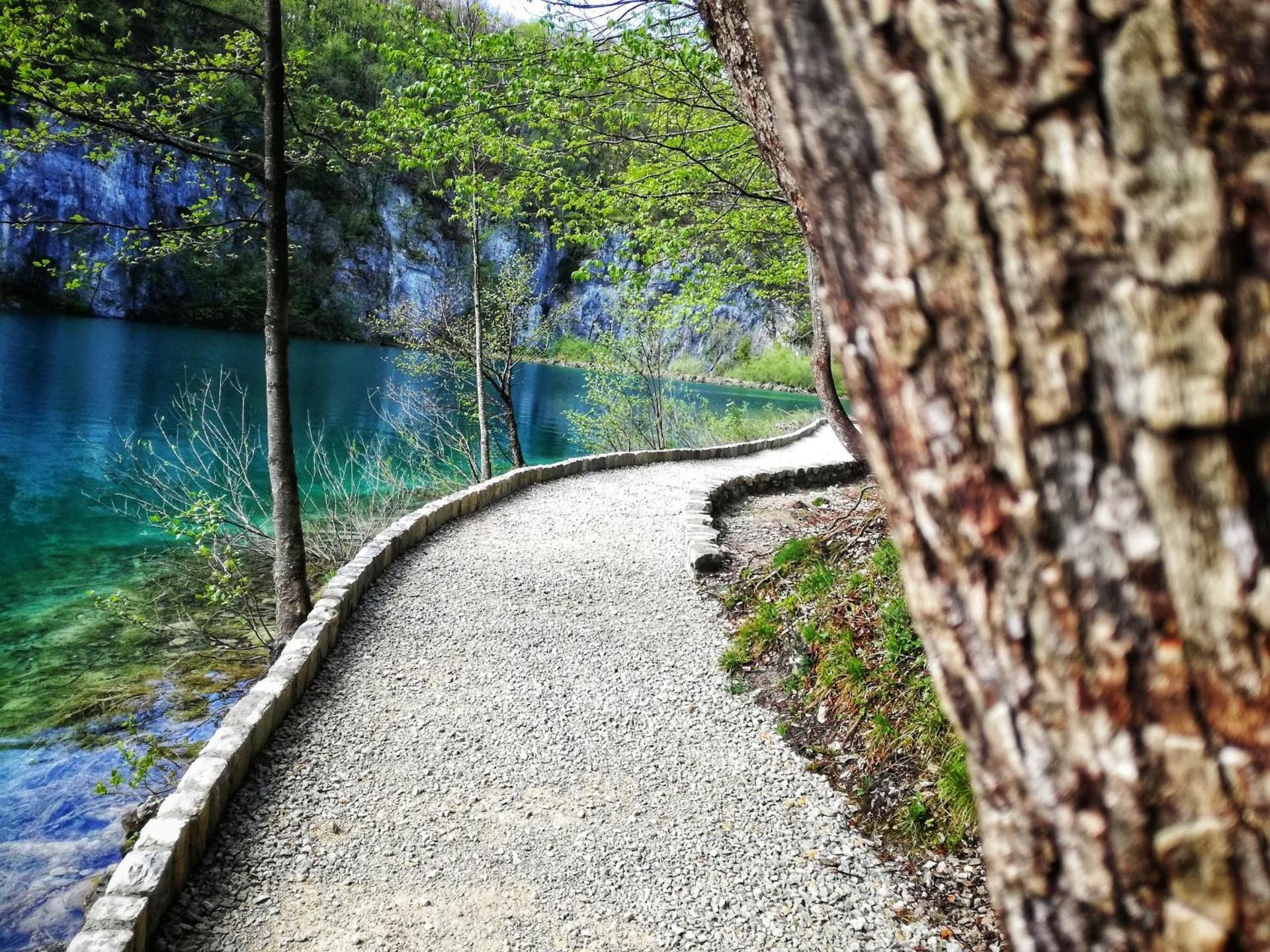 surrounding environment